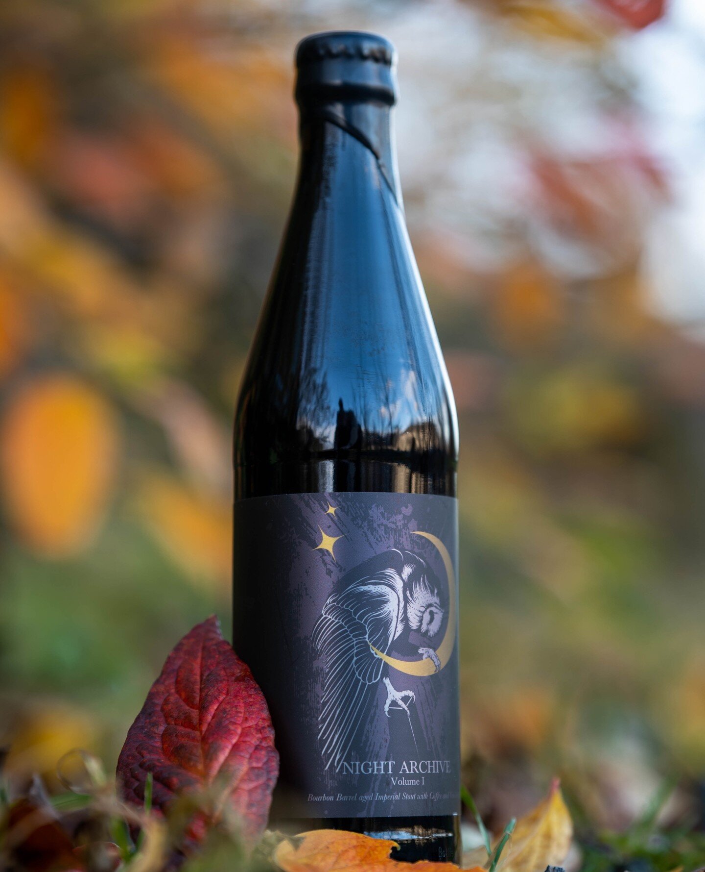 Sleeping Village - Night Archive Vol. 1. 12.5% ABV imperial stout.⁠
⁠
&quot;Night Archive is the first in our series of Imperial Stouts aged in spirit barrels. This beer was built on a massive grist of English dark malts and then aged in Heaven Hill 