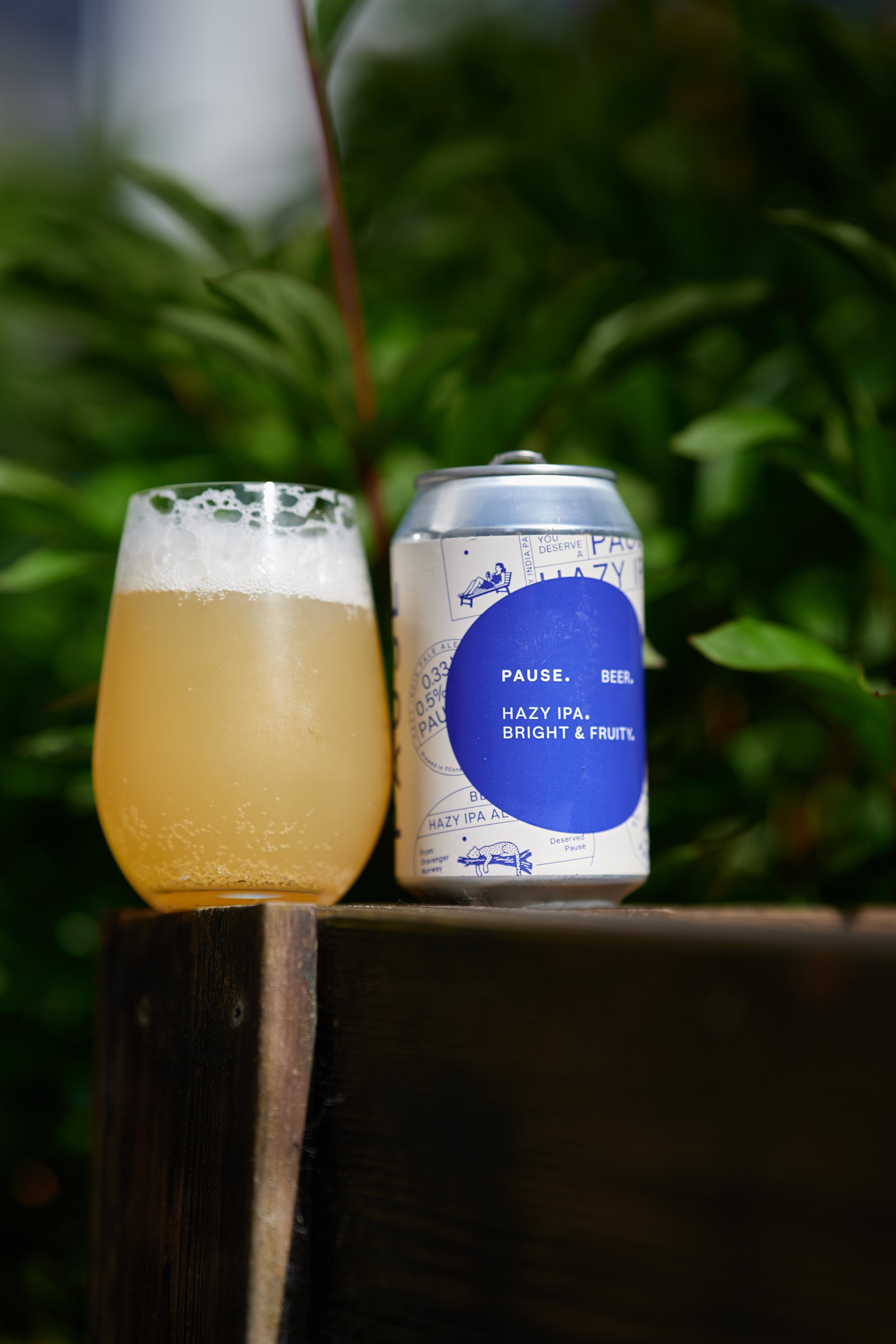 Salikatt - Pause er Norges beste alkoholfrie IPA, og fem alternativer