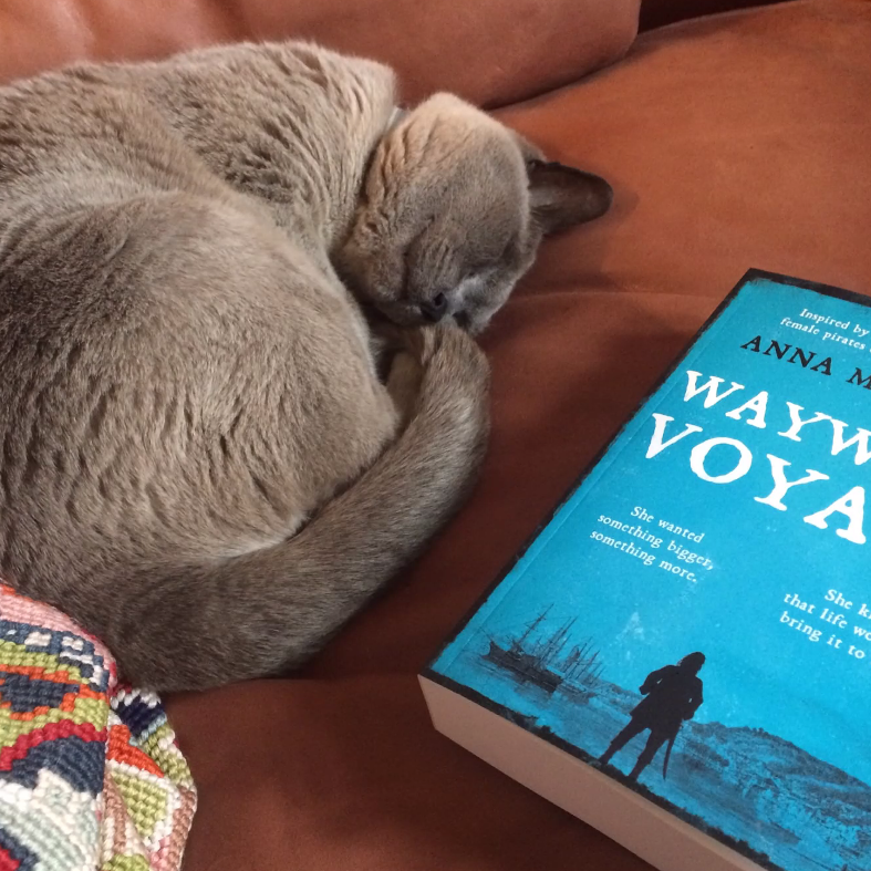 Anna M Holmes, newsletters