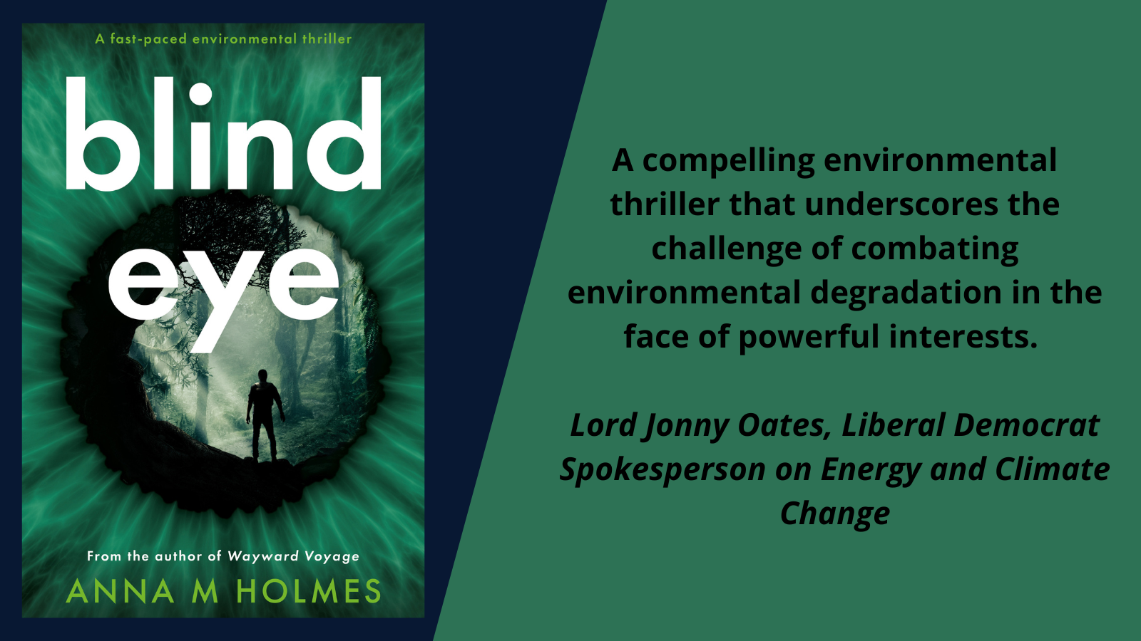 Blind Eye by Anna M Holmes. Endorsement by politician Lord Jonny Oates.