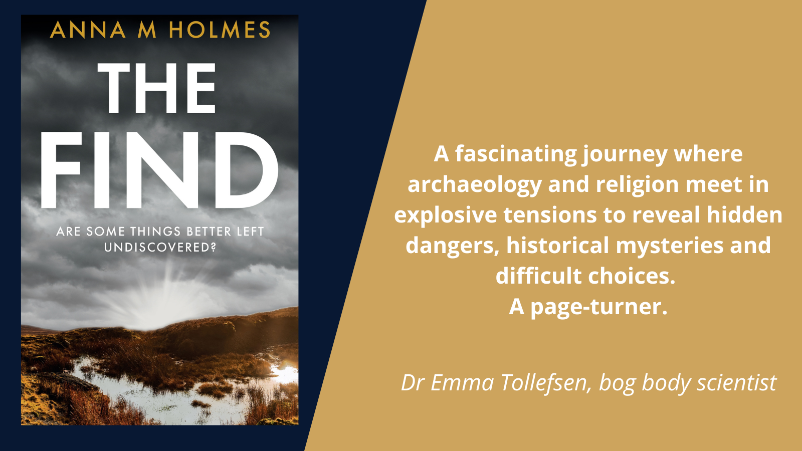 The Find by Anna M Holmes. Endorsement