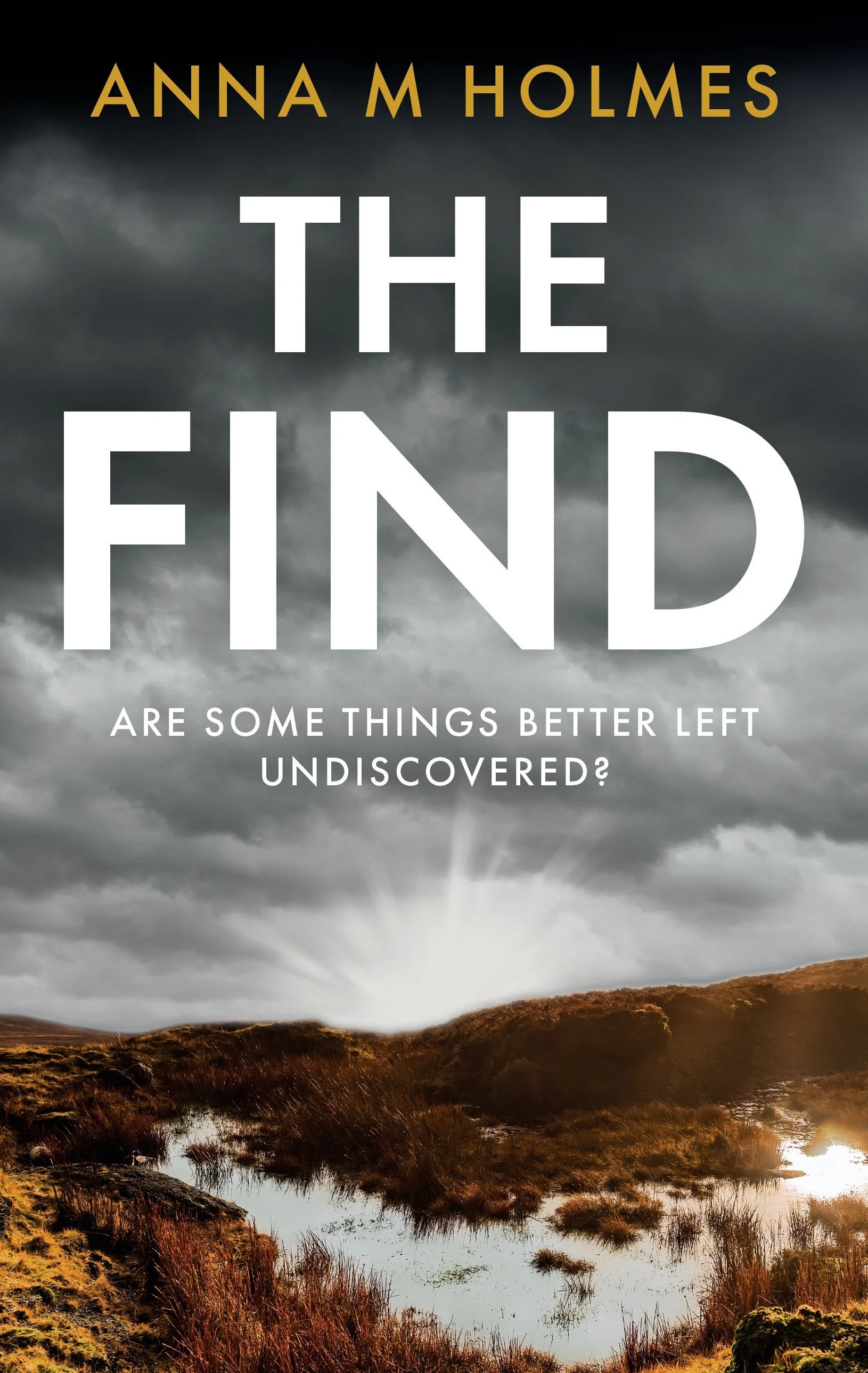 Book cover titled 'The Find' by Anna M Holmes, with a dark, stormy sky over a landscape of marshland and water, and the subtitle 'Are some things better left undiscovered?'