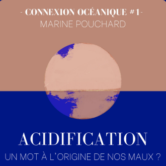Acidification : A l'origine de nos maux ?