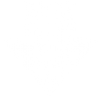Black and white downward arrow icon.