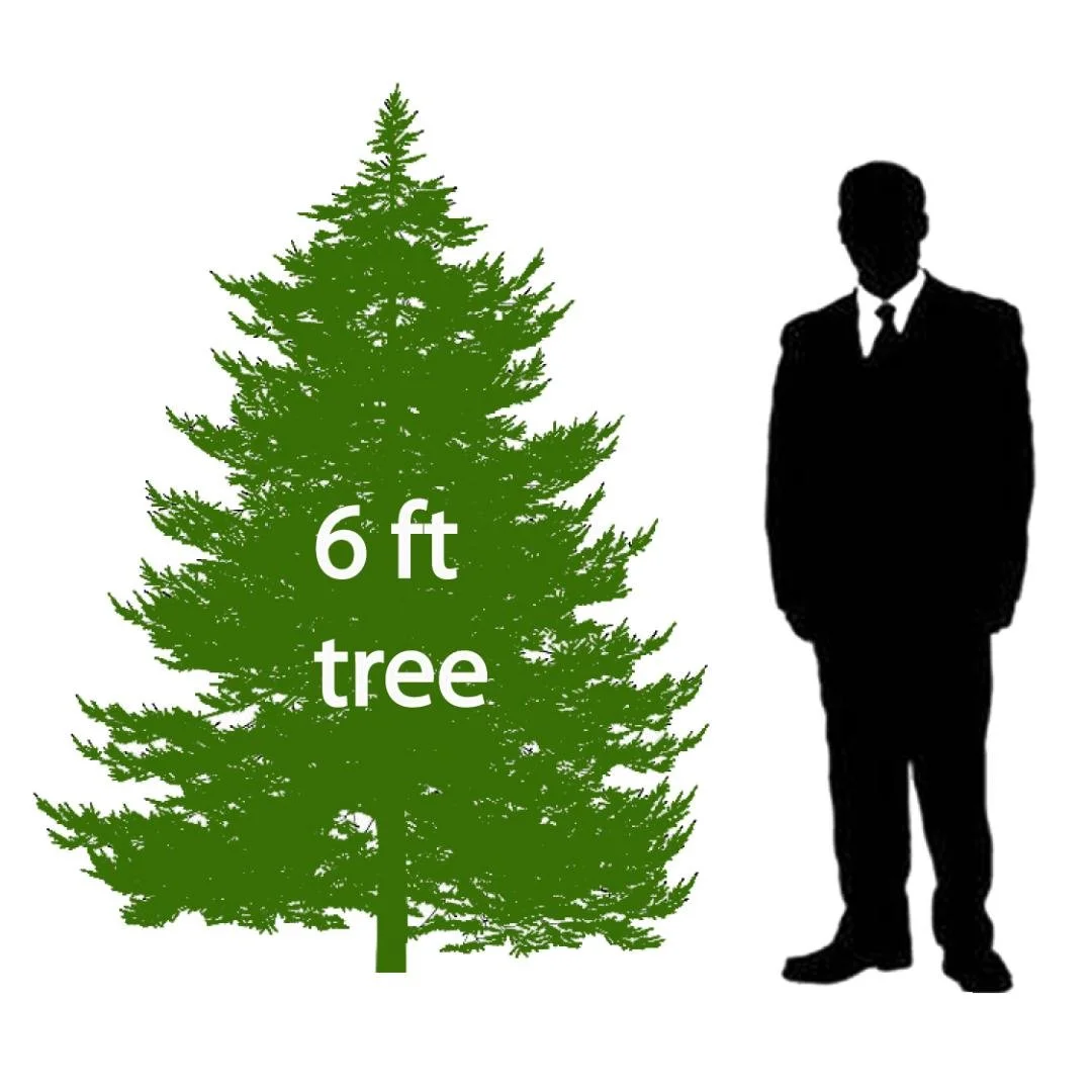 6' Christmas Tree