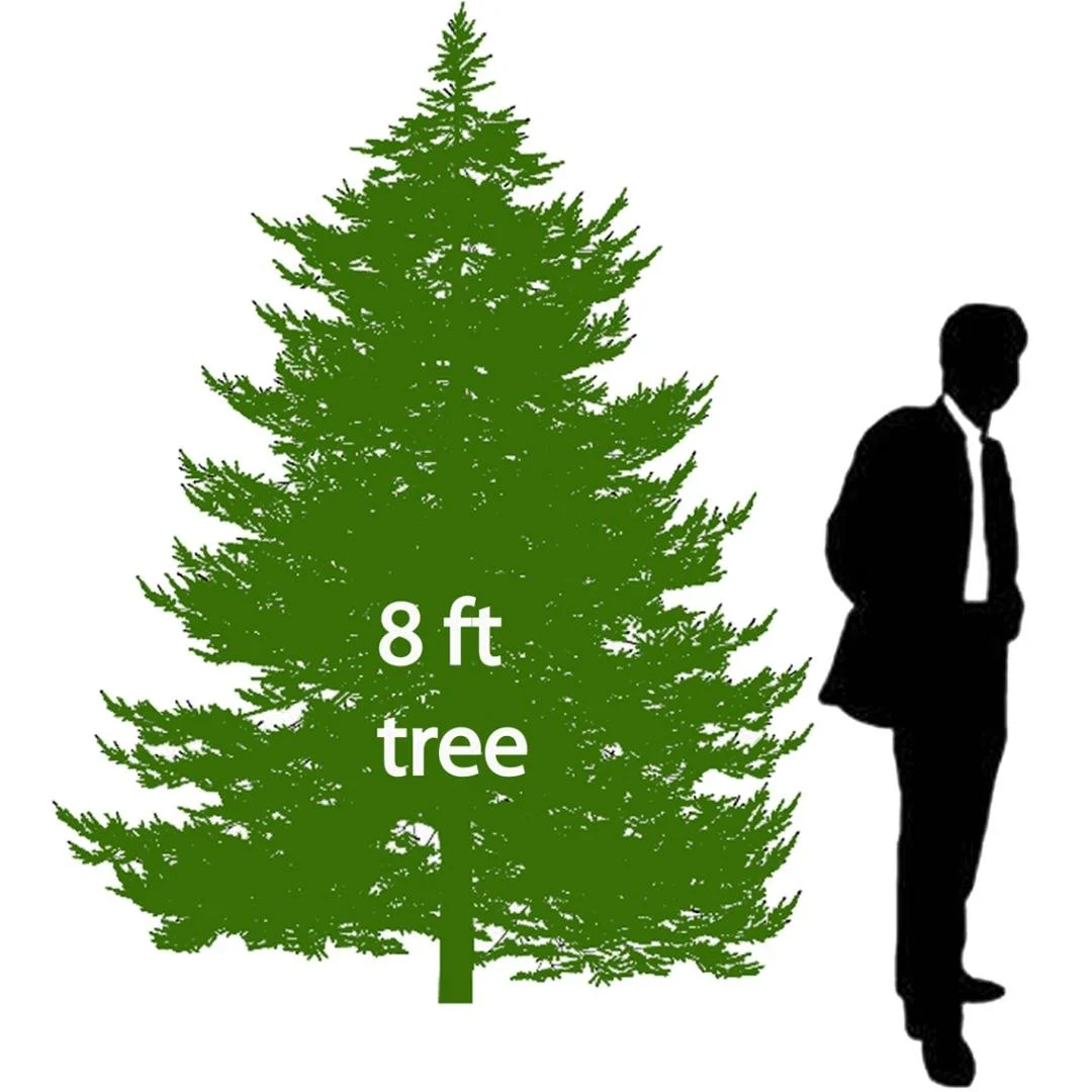 8' Christmas Tree