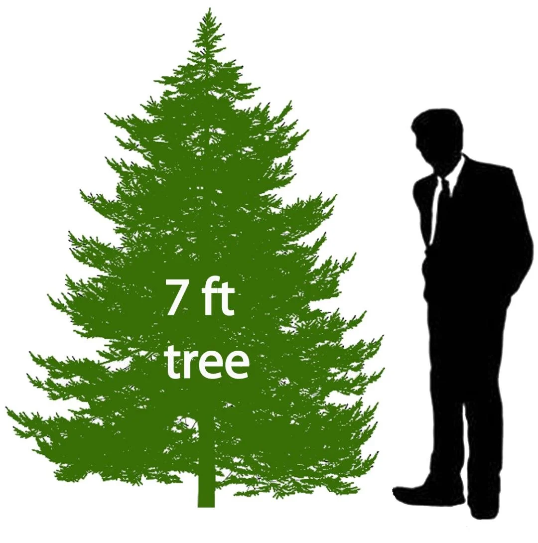 7' Christmas Tree