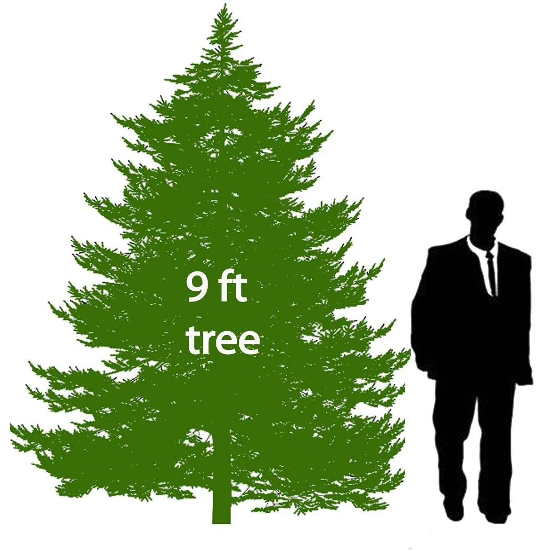 9' Christmas Tree