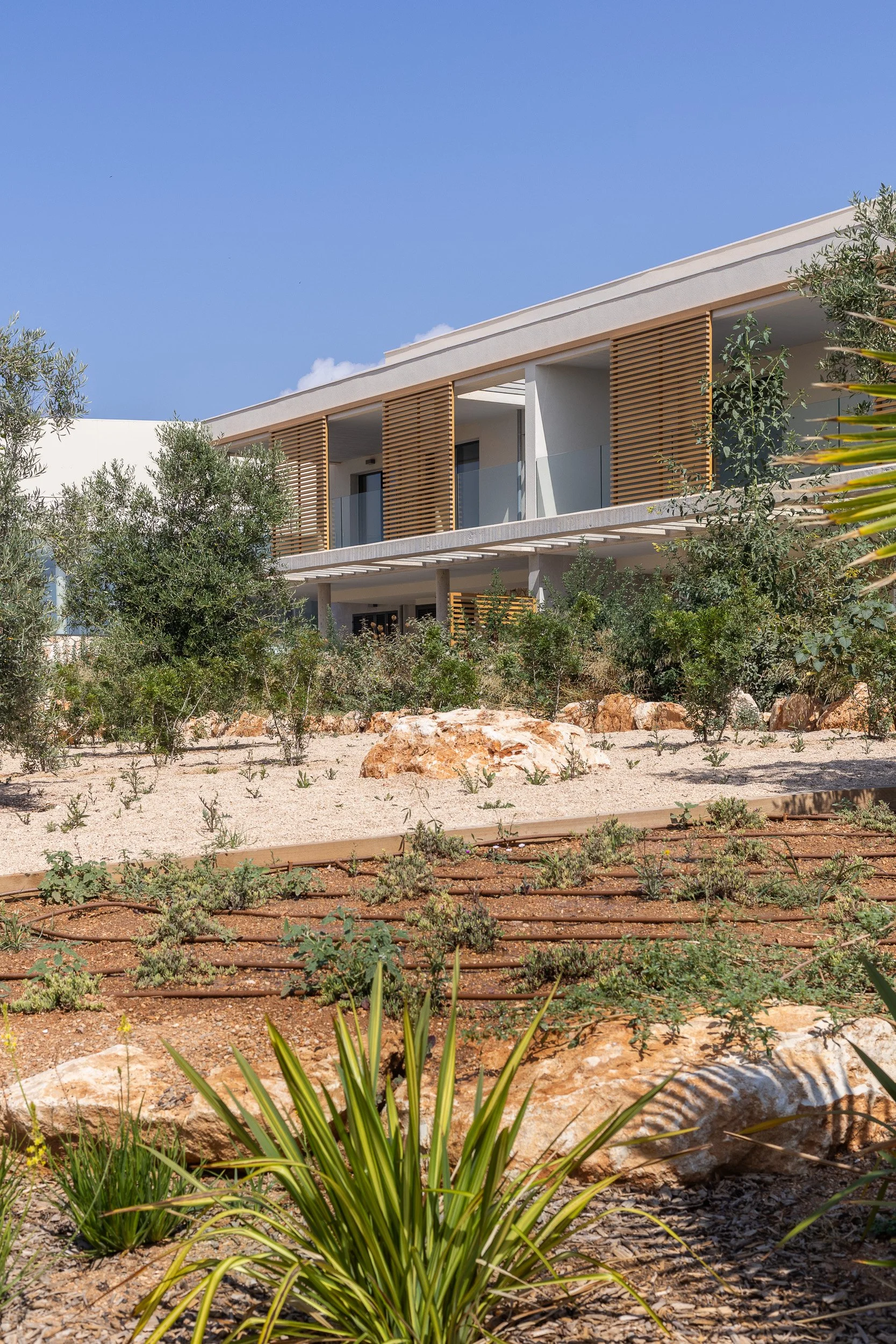 residencial-mallorca-sa-vinyola-20.jpg