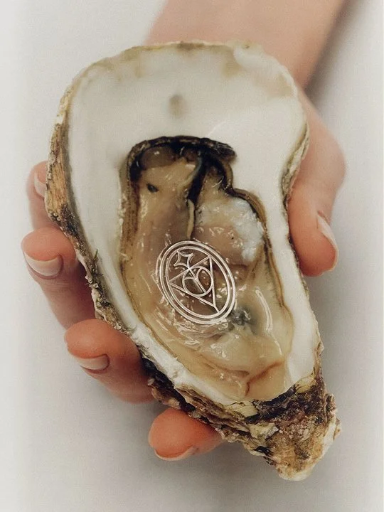 Ivory symbol placed in seashell.
