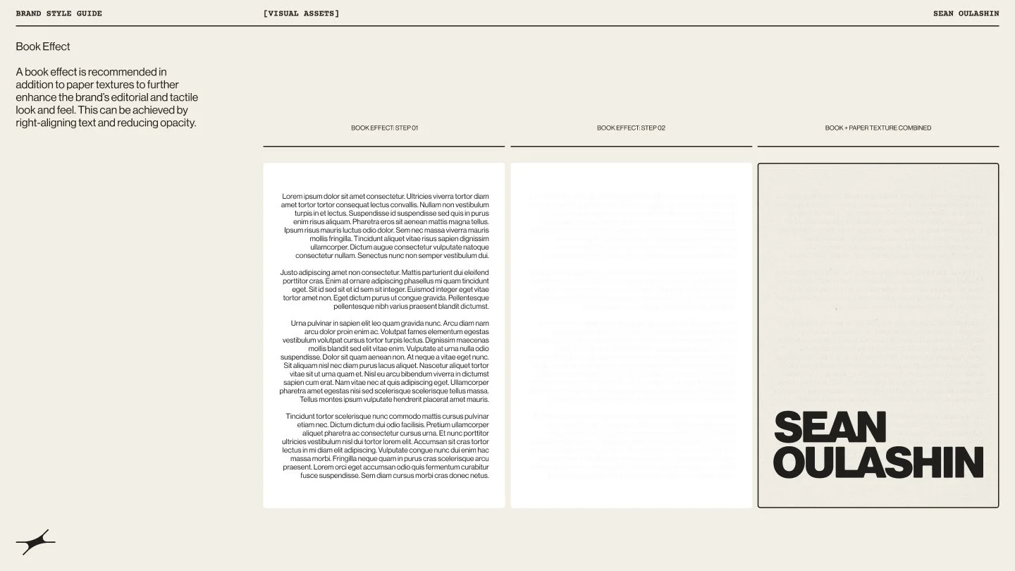 Brand style guide book effect page.
