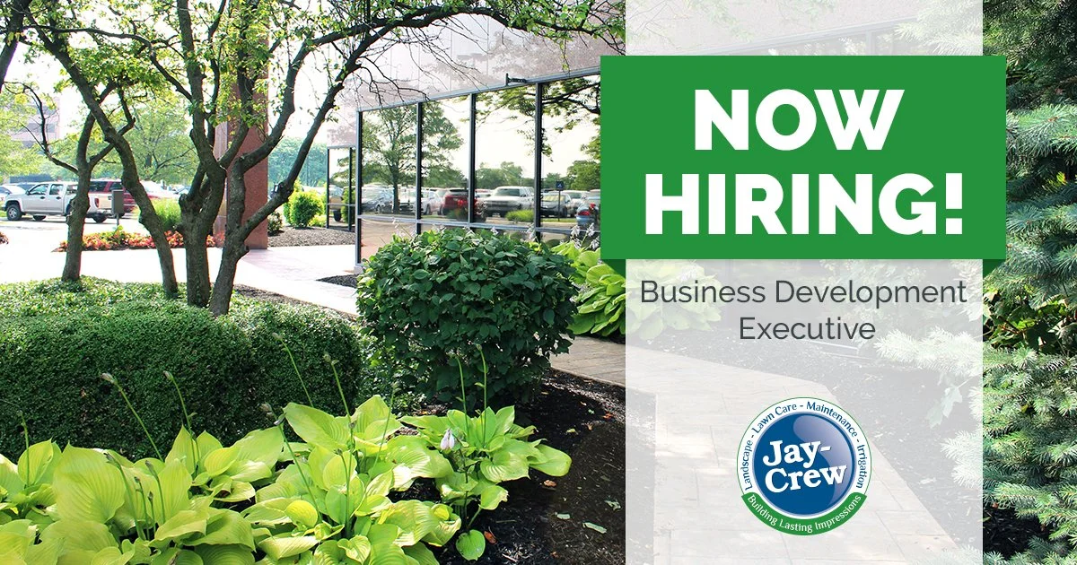 JayCrew-Inline2020-BusinessDevelopmentExecutiveHiring.jpg
