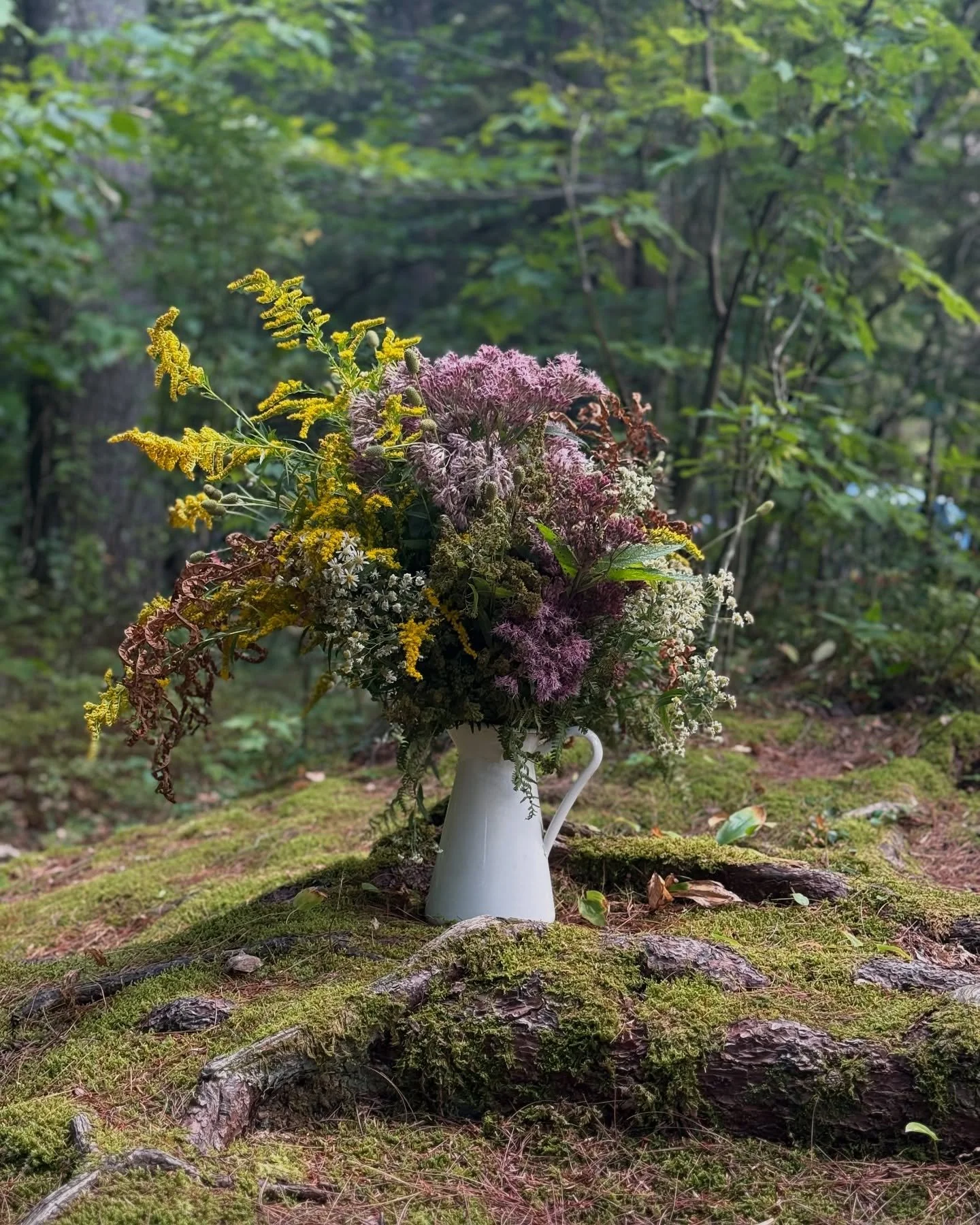 Calling all woodland fairy weddings. The moss at our campsite last weekend was just too magical to not do a photo shoot of my camp bouquet. 

Hot tip when your ingredients are ALL textural: make monotype bundles and arrange those as you would a focal