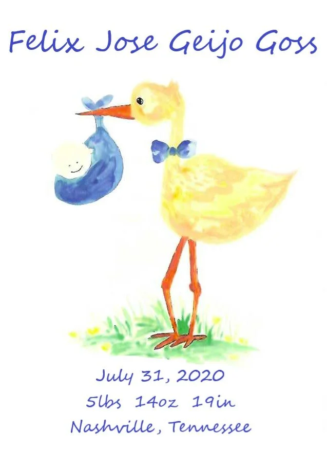 boy birth announcemtn 8x10 feloix.jpg