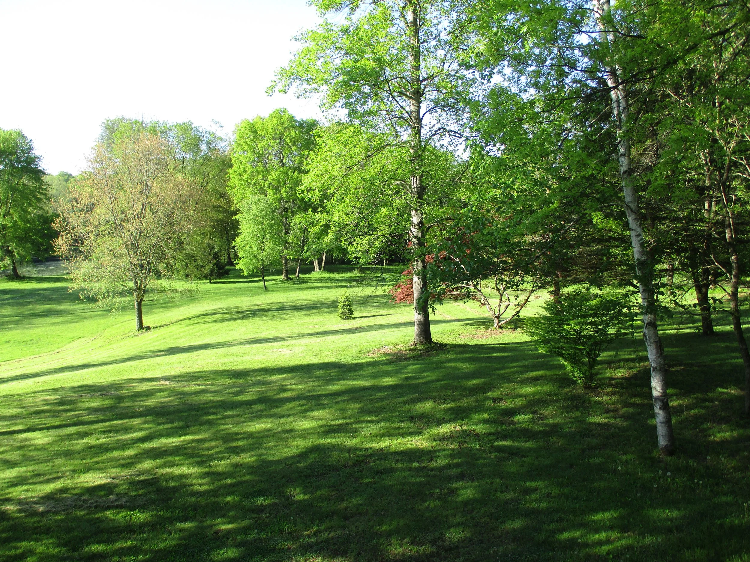 Grounds (1).JPG