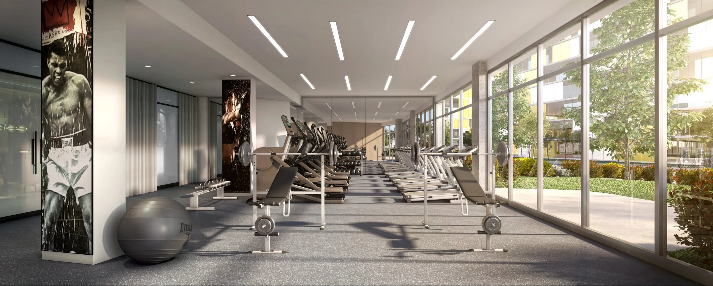 B7-GYM_HD.jpg