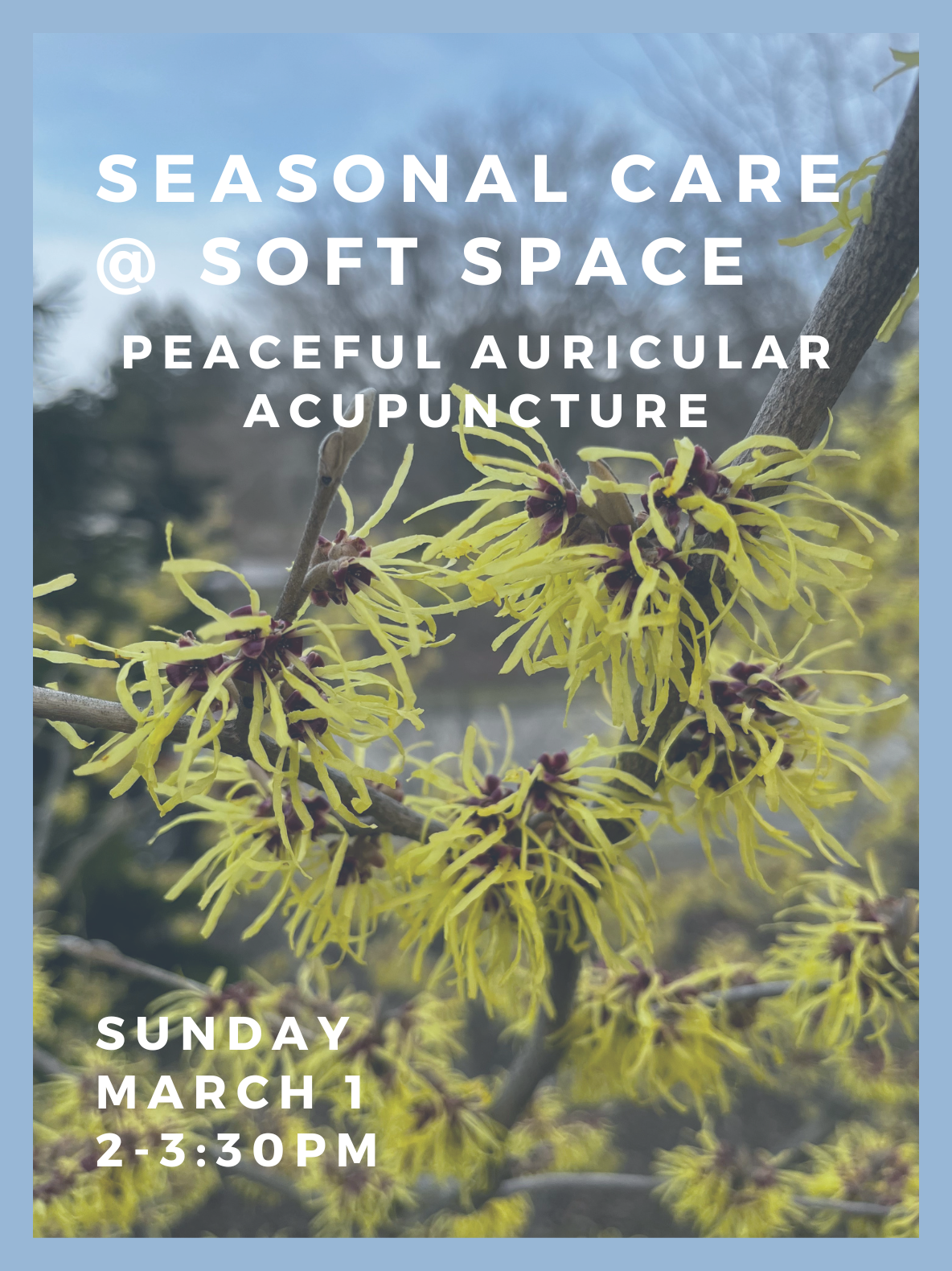 Seasonal Care @ Soft Space