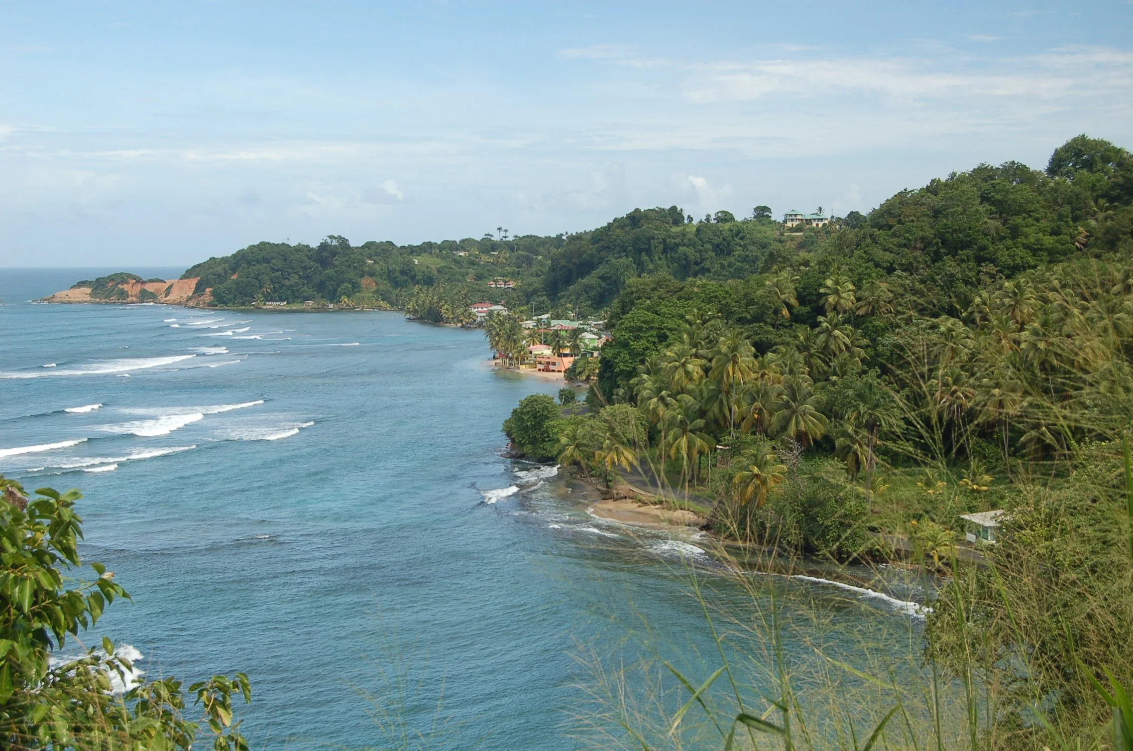 a view along the mountainous coastline in Dominica
