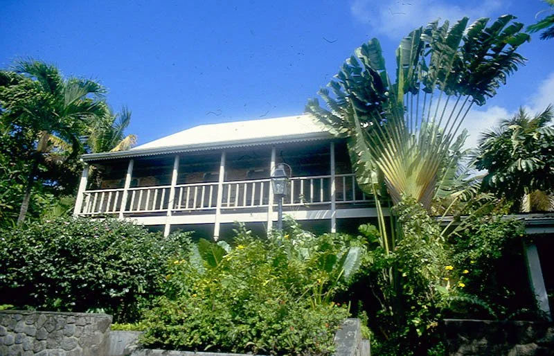 traditional house and travellers tree, Oranjestad, Statia, St Eustatius