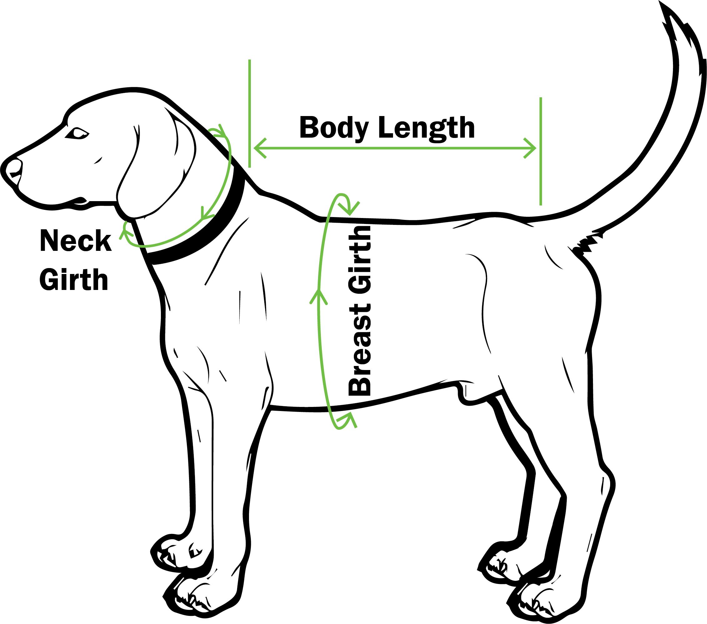 Sizing Guide — Pups Up