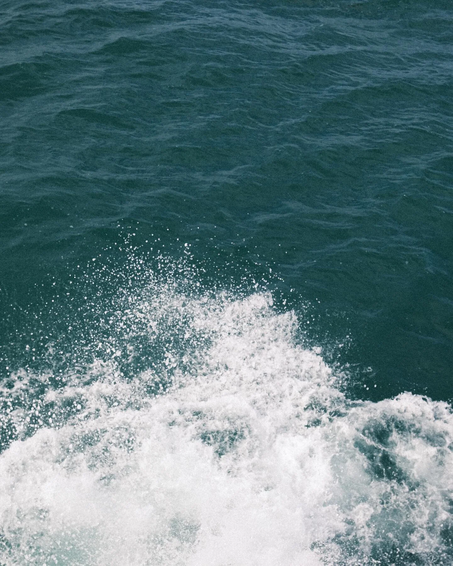 Monday blues 🌊