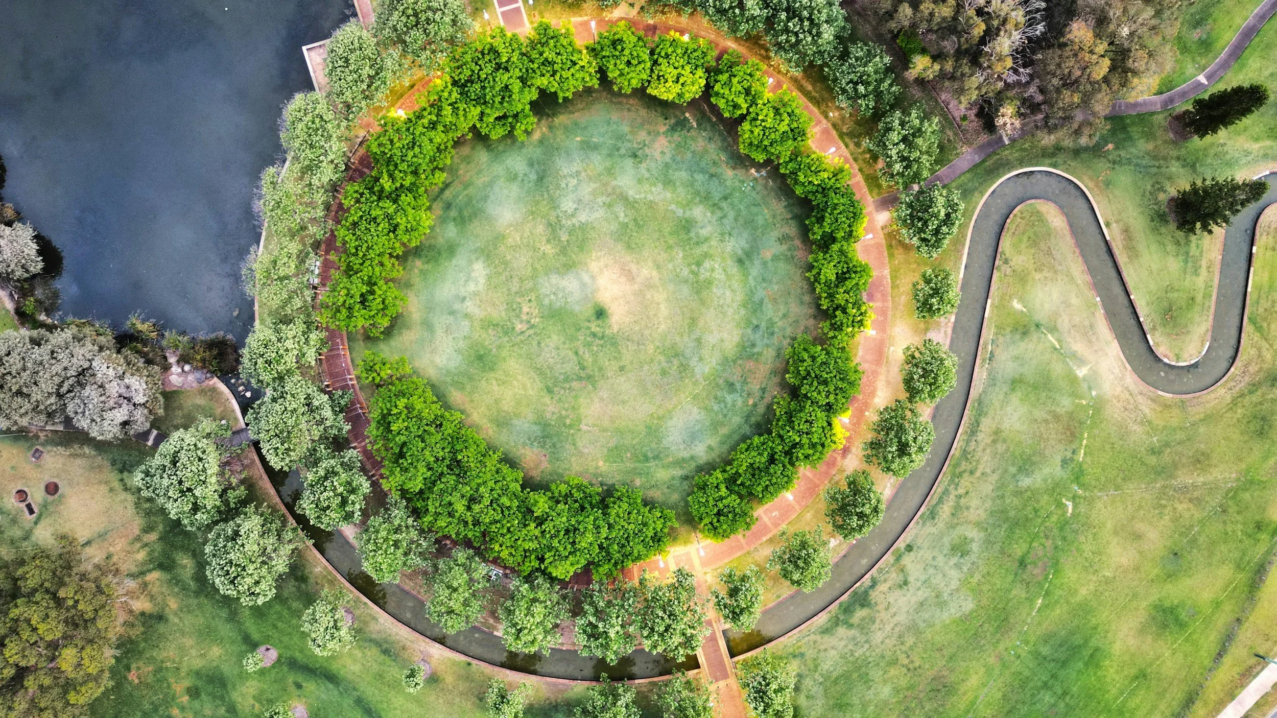 An arial view of a circle of trees with a clearing in the middle