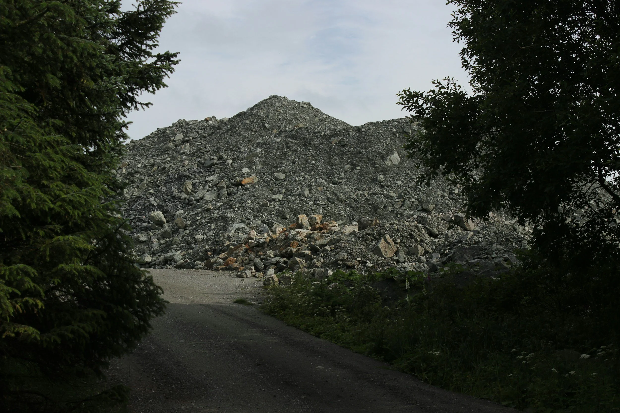 Large pile of waste seen through trees