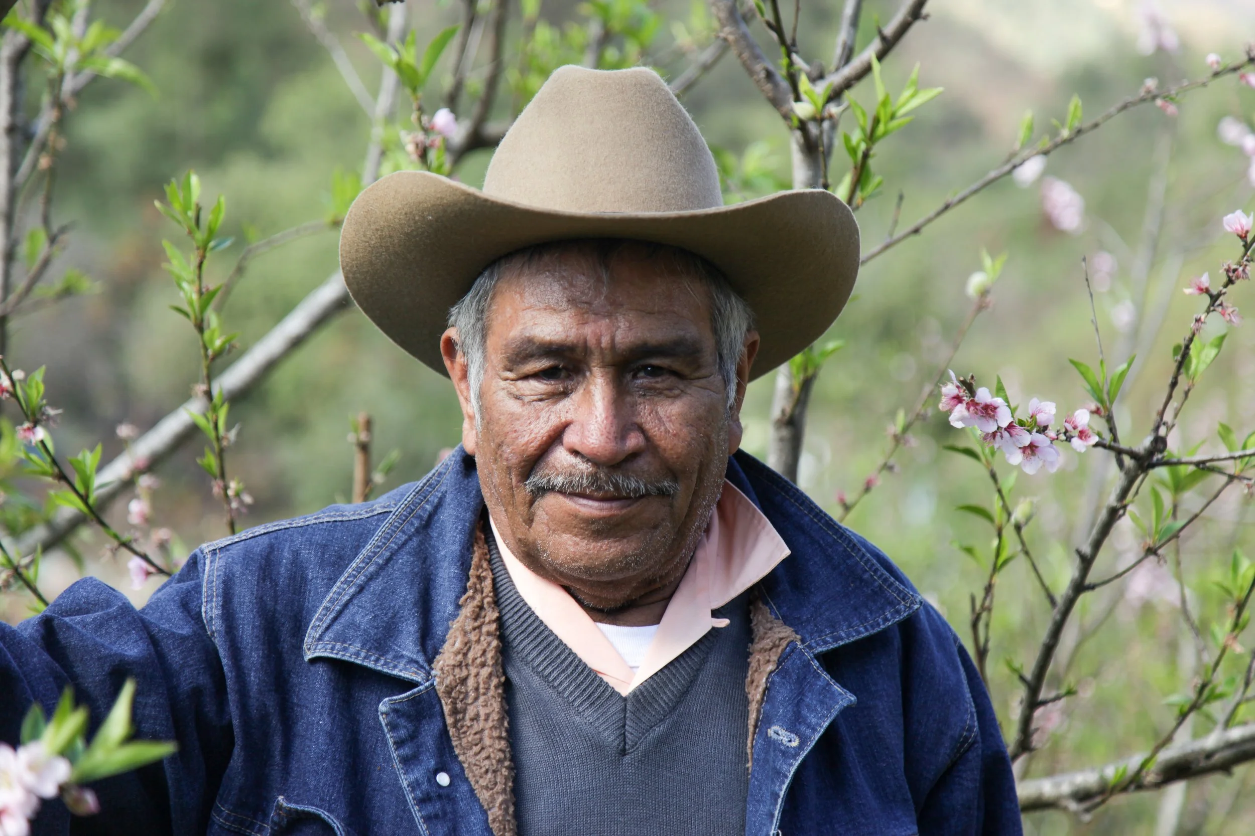 Proyectos Para Un Futuro Mejor - Oaxaca