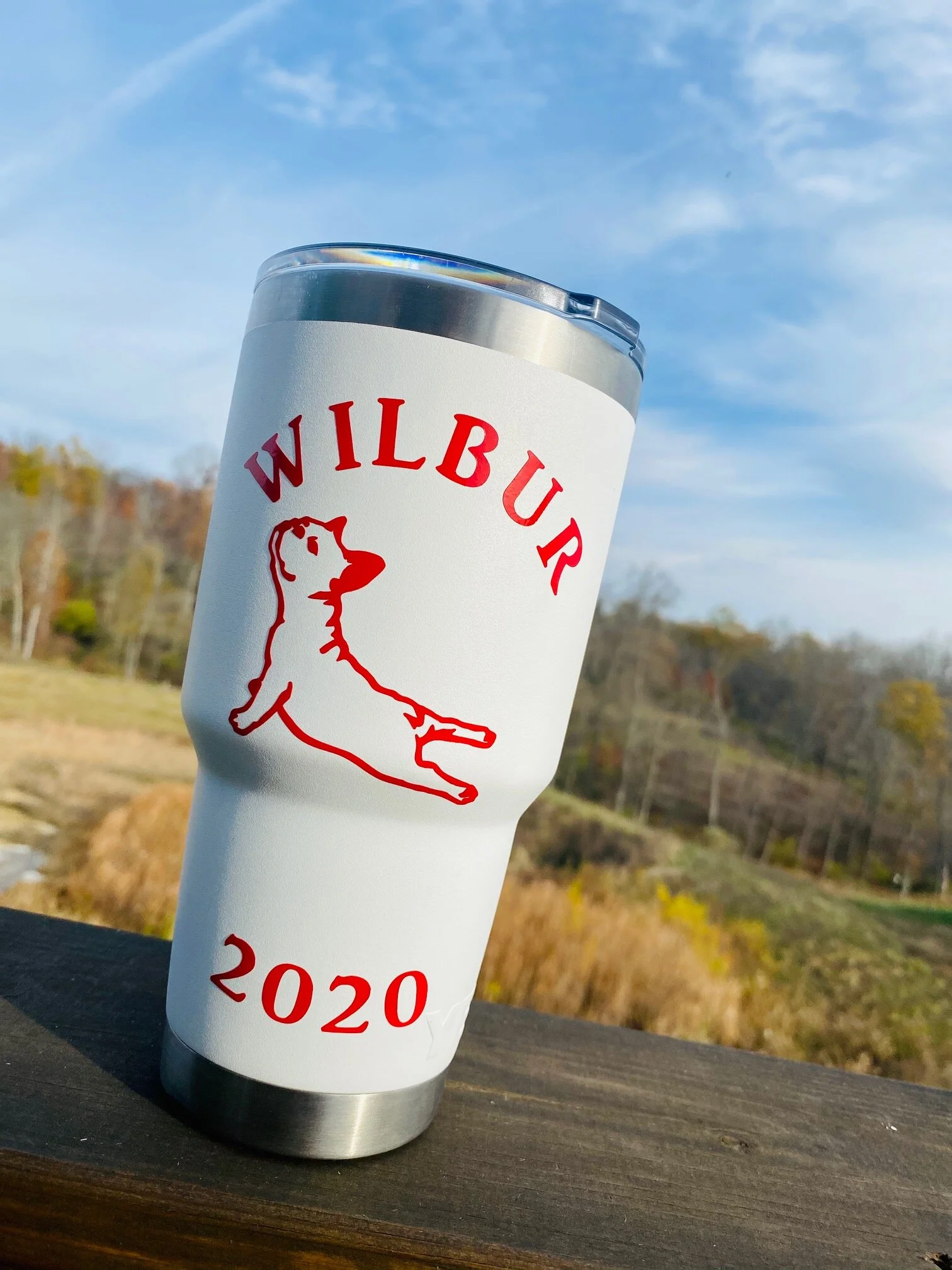 Wilbur 2020 Vinyl Decal