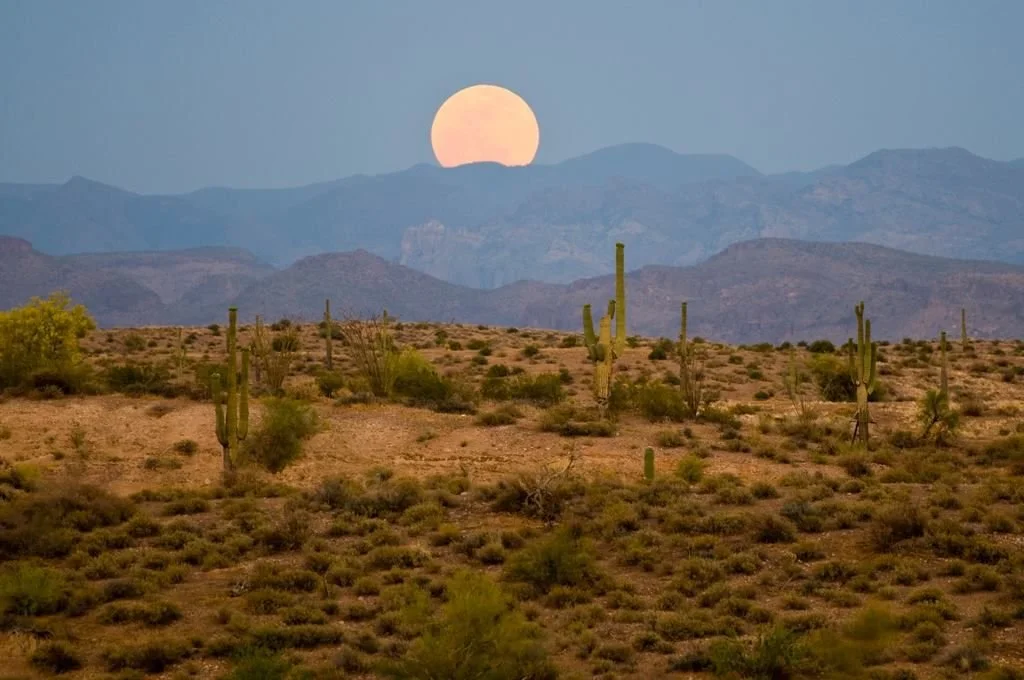 The unaspected Moon: the isolated well of emotion