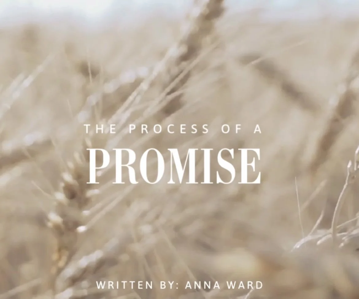 The Process of a Promise