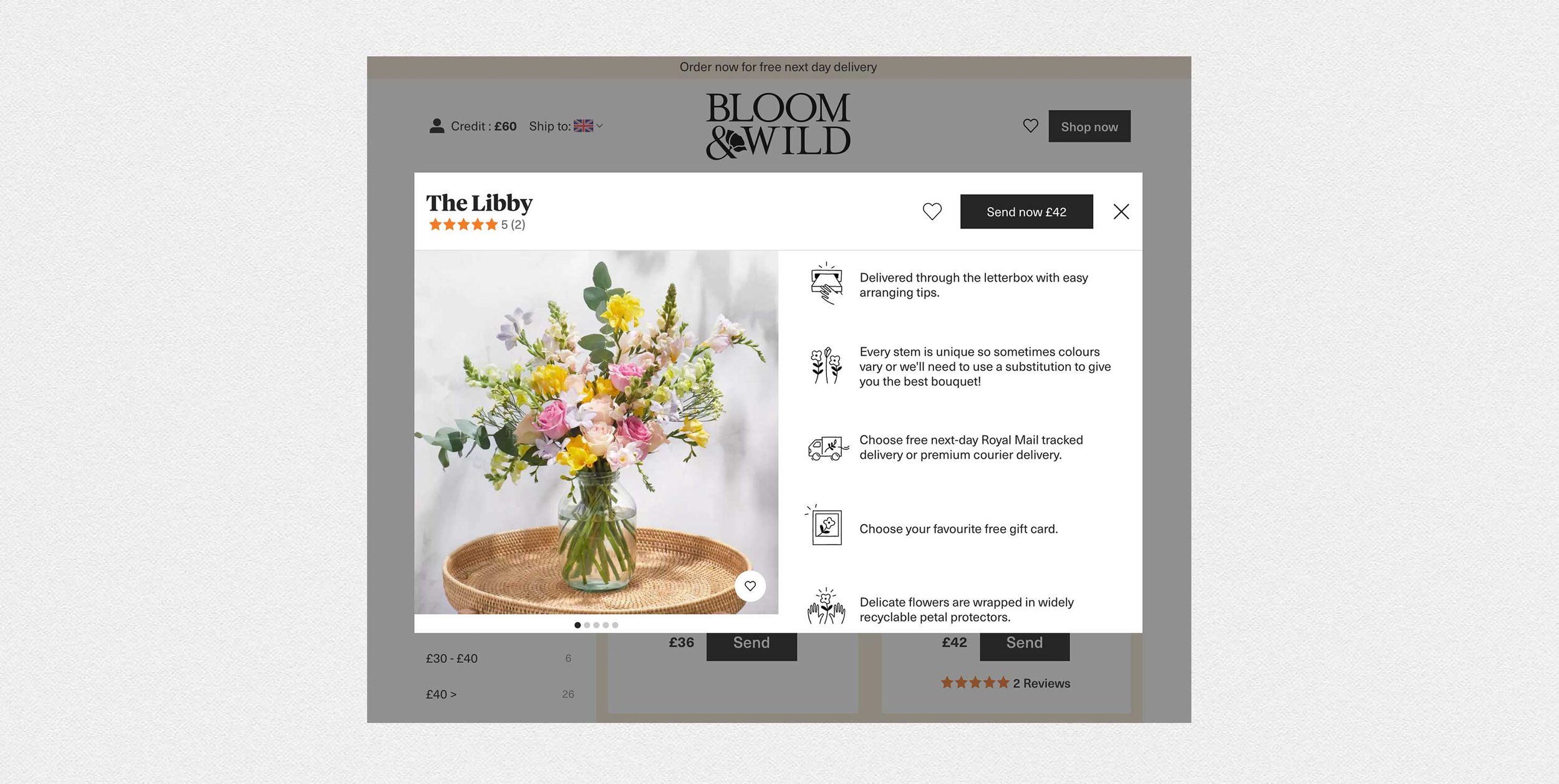 bloomwild-2.jpg