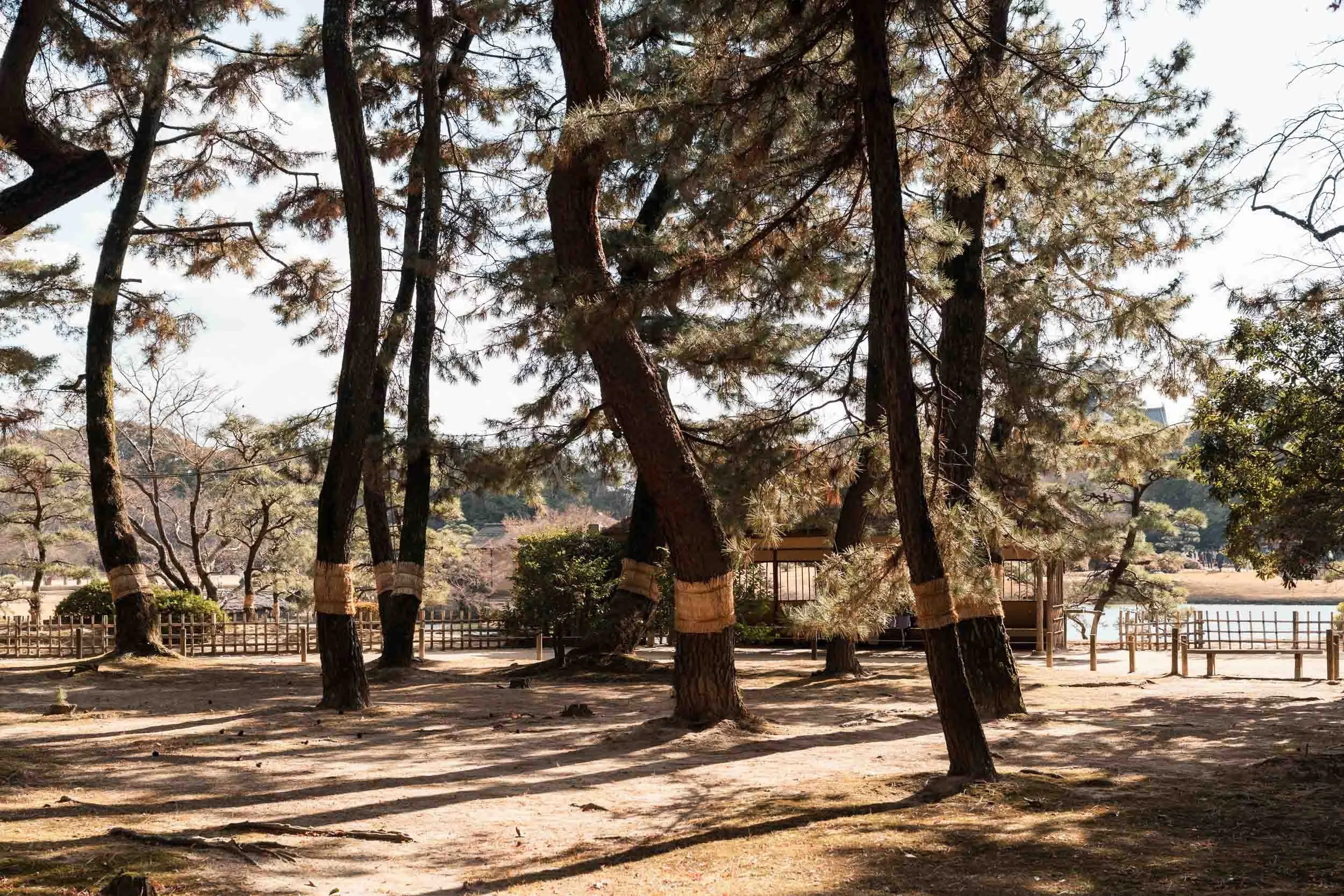 becoming-carmen-travel-guide-japan-okayama-city-korakuen