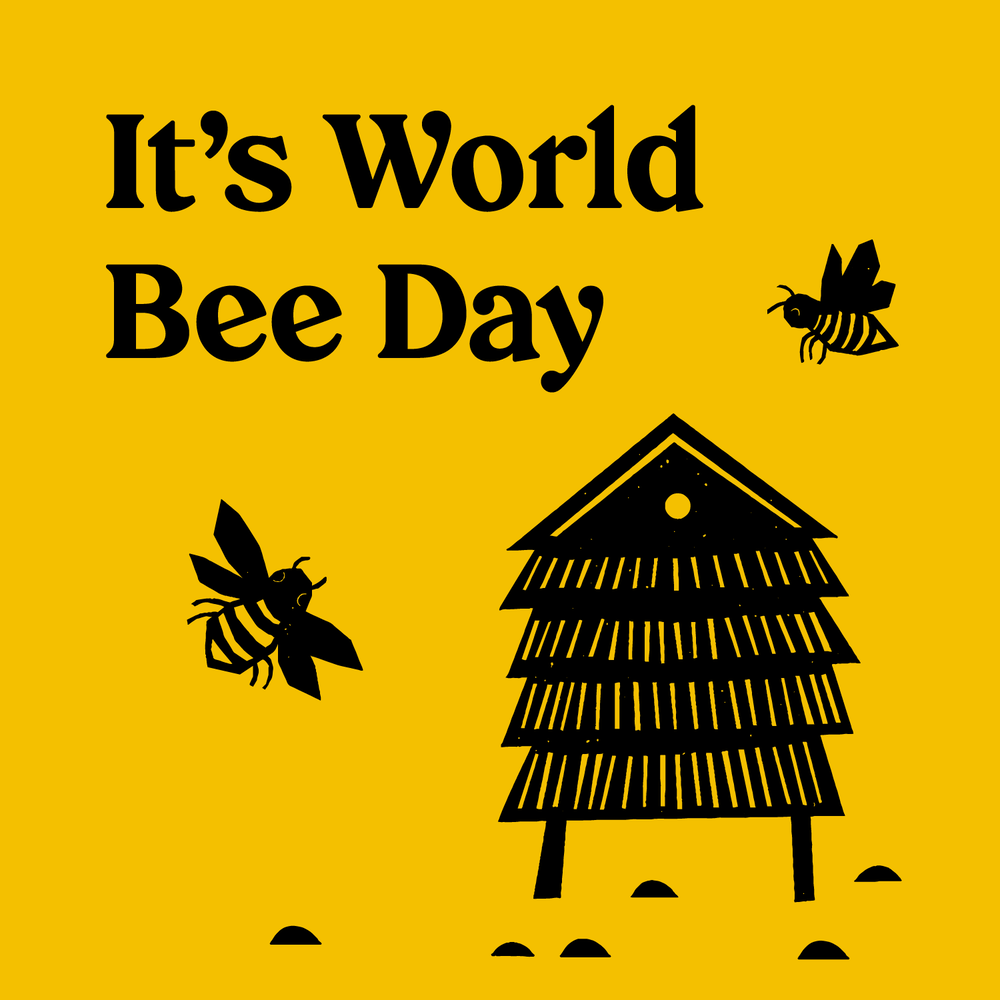 World-Bee-Day-sq1.png
