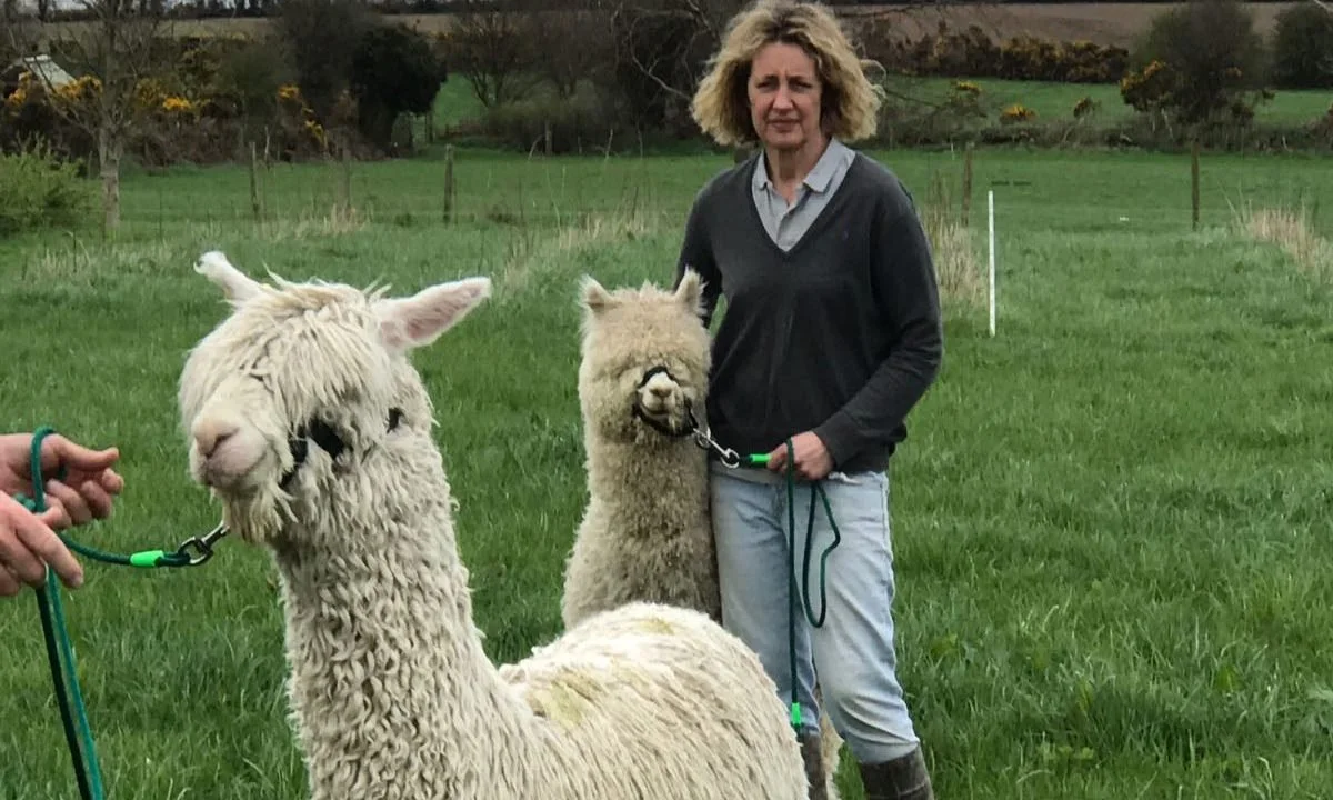 Regans Organic Farm in Agriland by Caroline Allen