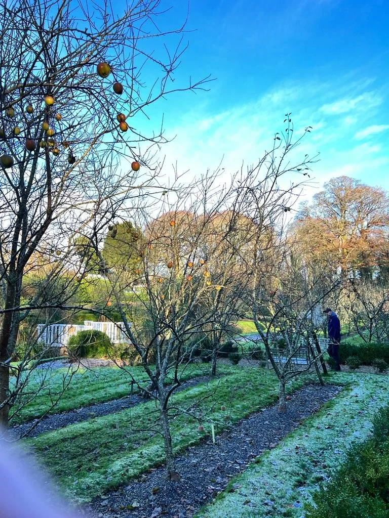 Taste-Wexford-Colclough-Walled-Garden-Apple-Trees.jpeg