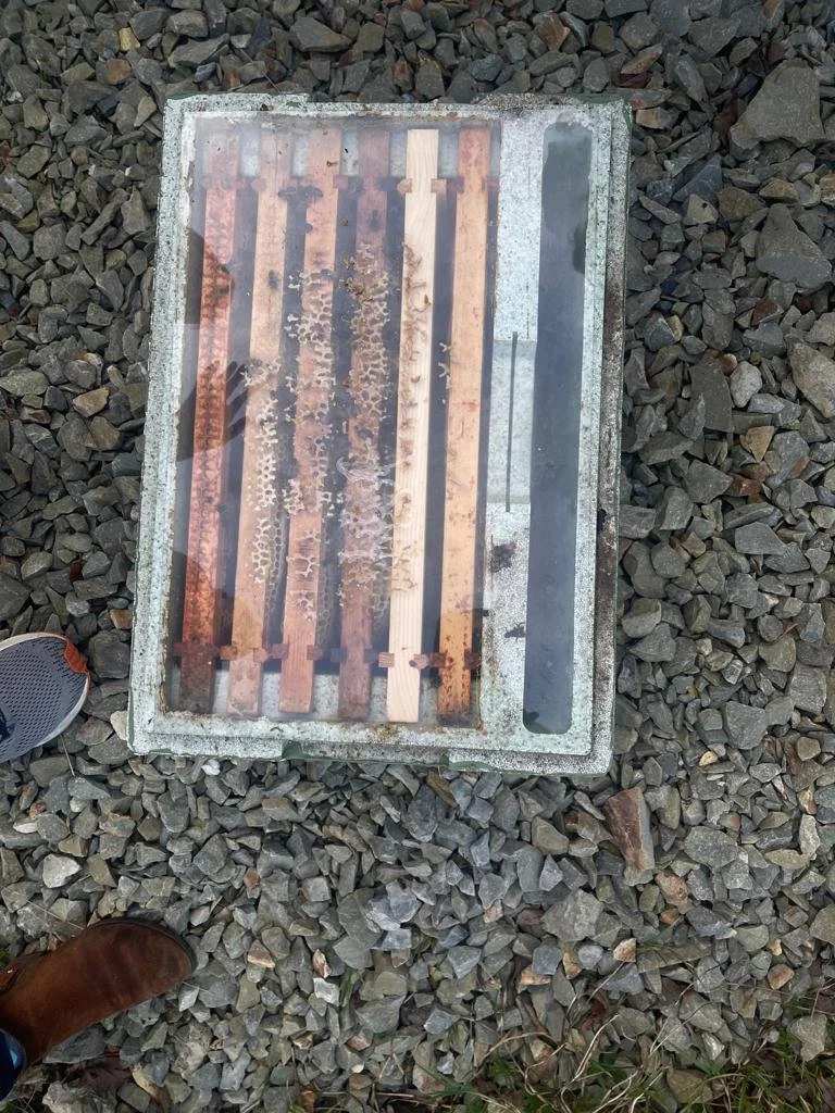 Taste-Wexford-Honey-Bee-Hive.jpeg
