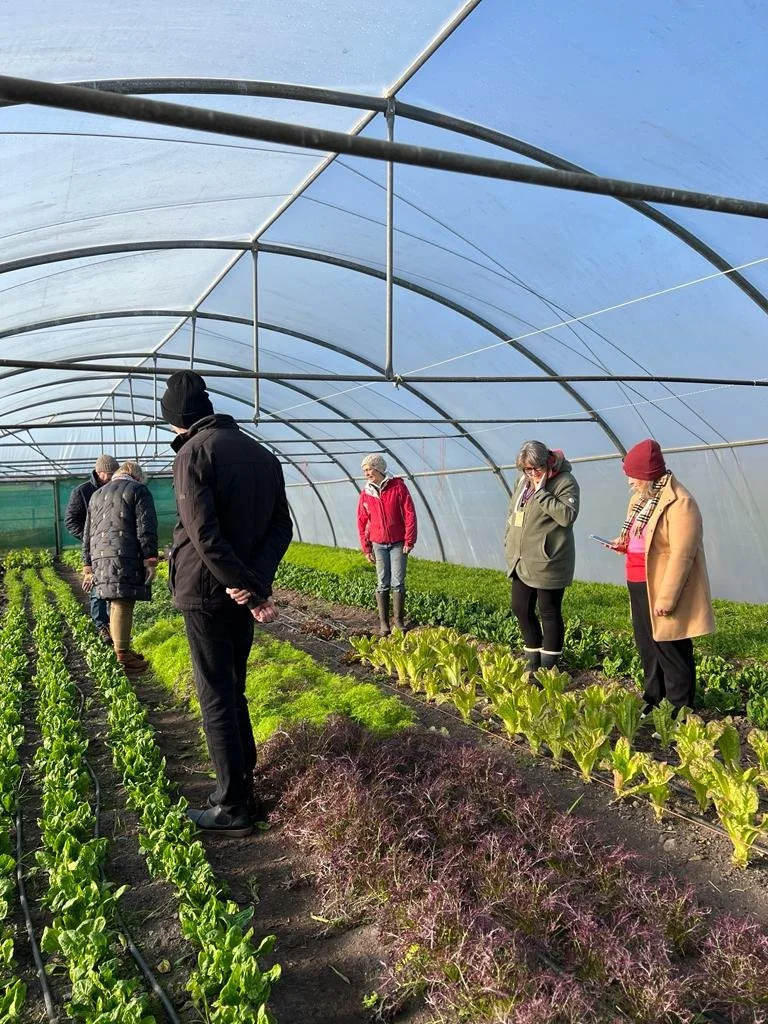 Taste-Wexford-Inside-Tunnel-At-Comeragh-Mountain-Farm.jpeg