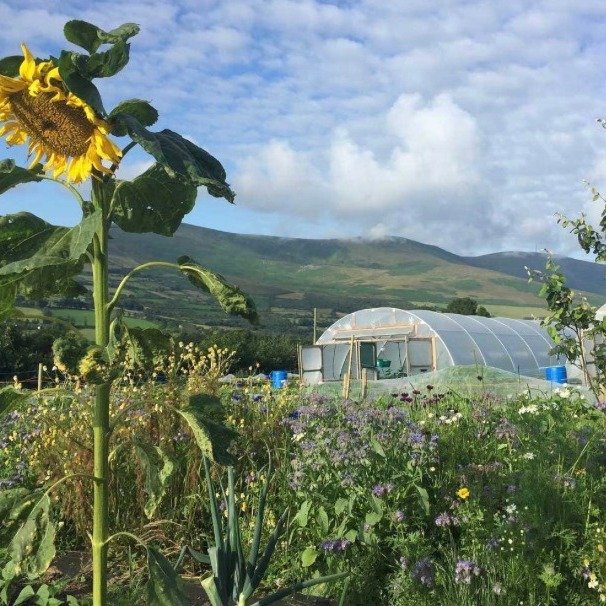 @gorsefarm_ie Biodiversity Walk 🌎

Gorse farm is a small organic vegetable farm situated on the main road up to Mount Leinster. The scenery is stunning, with incredible vistas of Wexford's rural farming landscape.

During the walk they will share wi