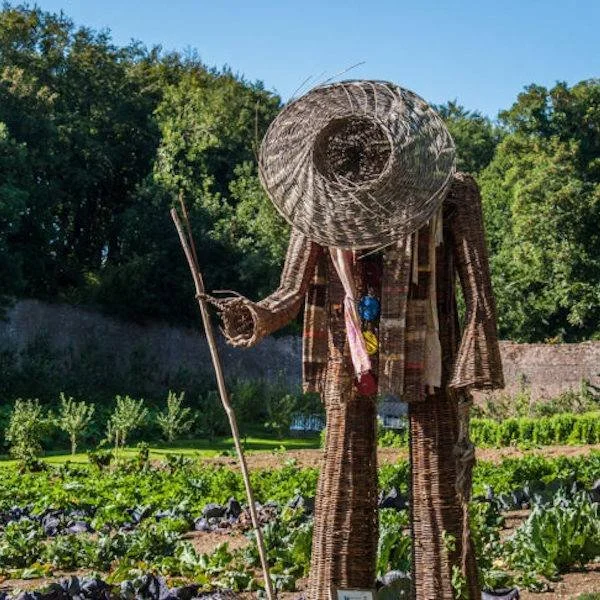 Nestled in Tintern, County Wexford, @colcloughwalledgarden is a beautifully restored haven known for its vibrant floral displays and peaceful charm. 

Named after the Colclough family, historic landowners of the region, the garden features meticulous