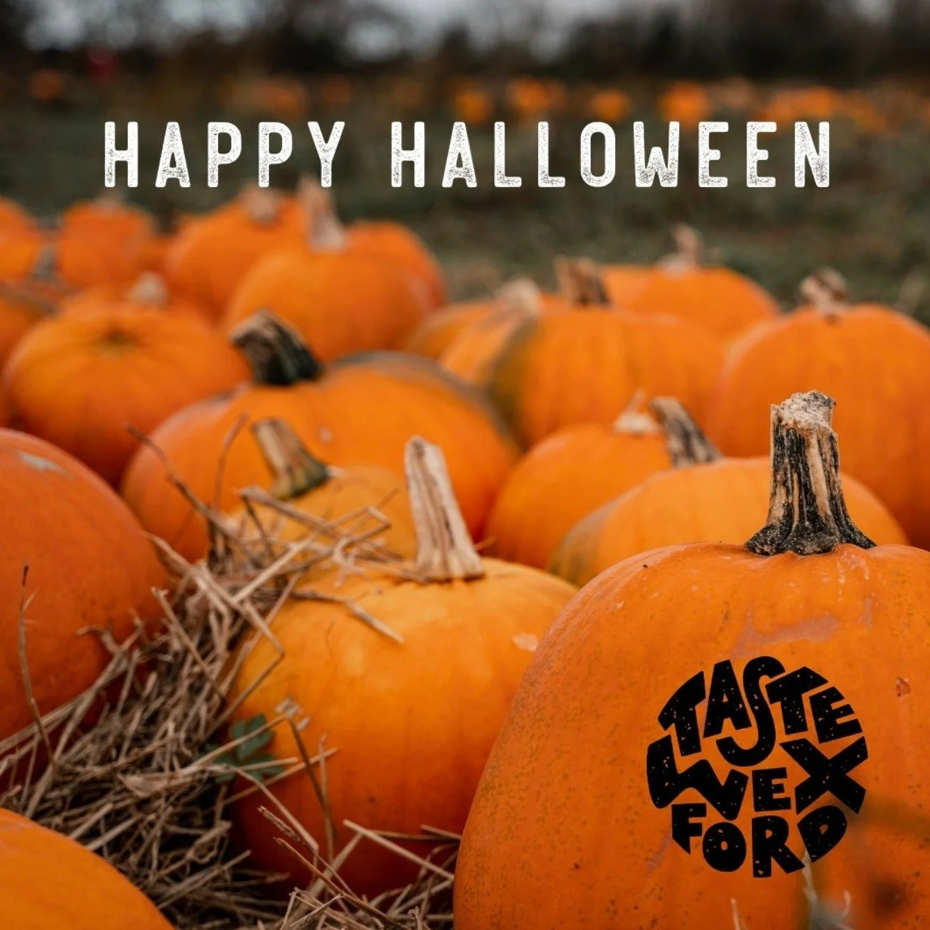O&iacute;che Shamhna shona daoibh from Taste Wexford 🎃

What seasonal produce will you indulge in today - pumpkins, apples or perhaps something sweeter?

Whatever is on your plate, we wish you all a safe day celebrating Samhain!

Explore Wexford thr
