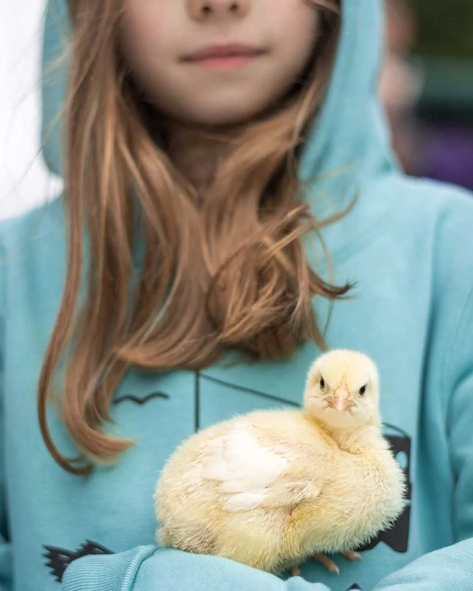 🌿 Cosy layers for little explorers 🌿

Our kids&rsquo; organic cotton hoodies are made for muddy boots, seaside walks, garden days and slow winter afternoons. Soft, warm and thoughtfully made, with illustrations inspired by Wexford&rsquo;s food, far