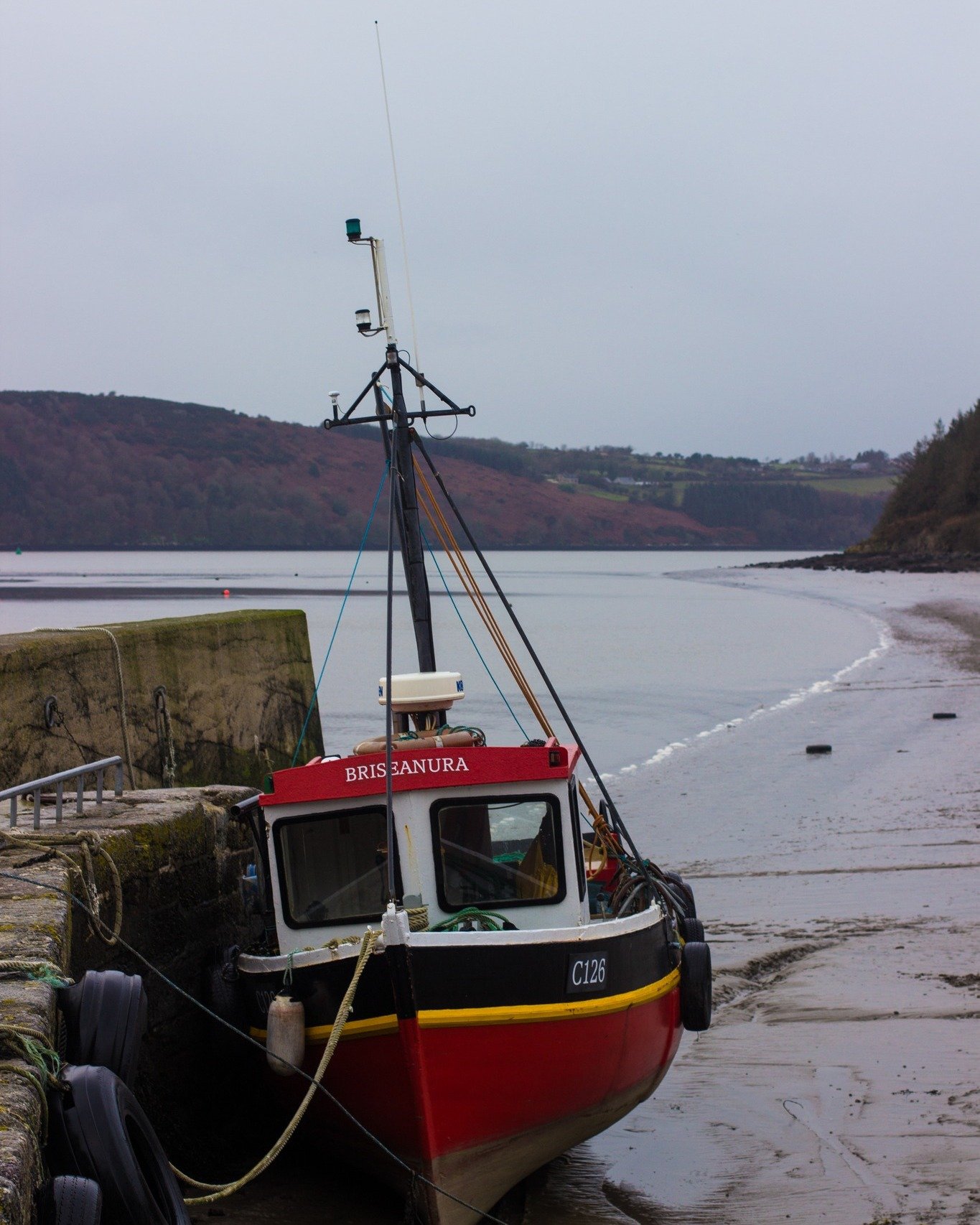 ✨ Christmas in Wexford ✨

As Christmas settles in here in Wexford, the countryside slips into its winter rhythm - orchards bare, fields resting, fires lit, and kitchens coming alive with the flavours of the season.

This is the time of year when Wexf