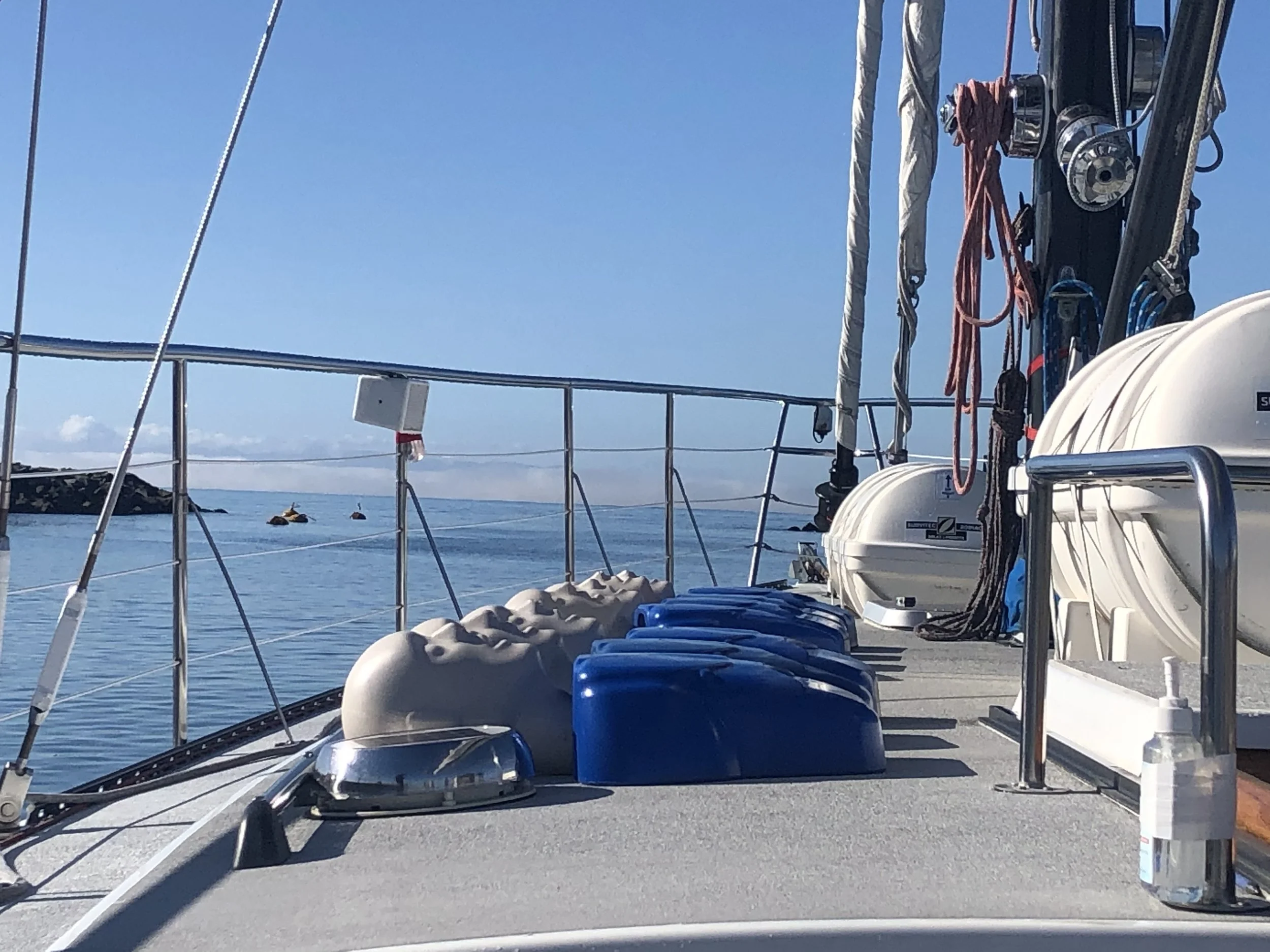 2025 AHA Guideline Updates: Changes in CPR 2025-2030