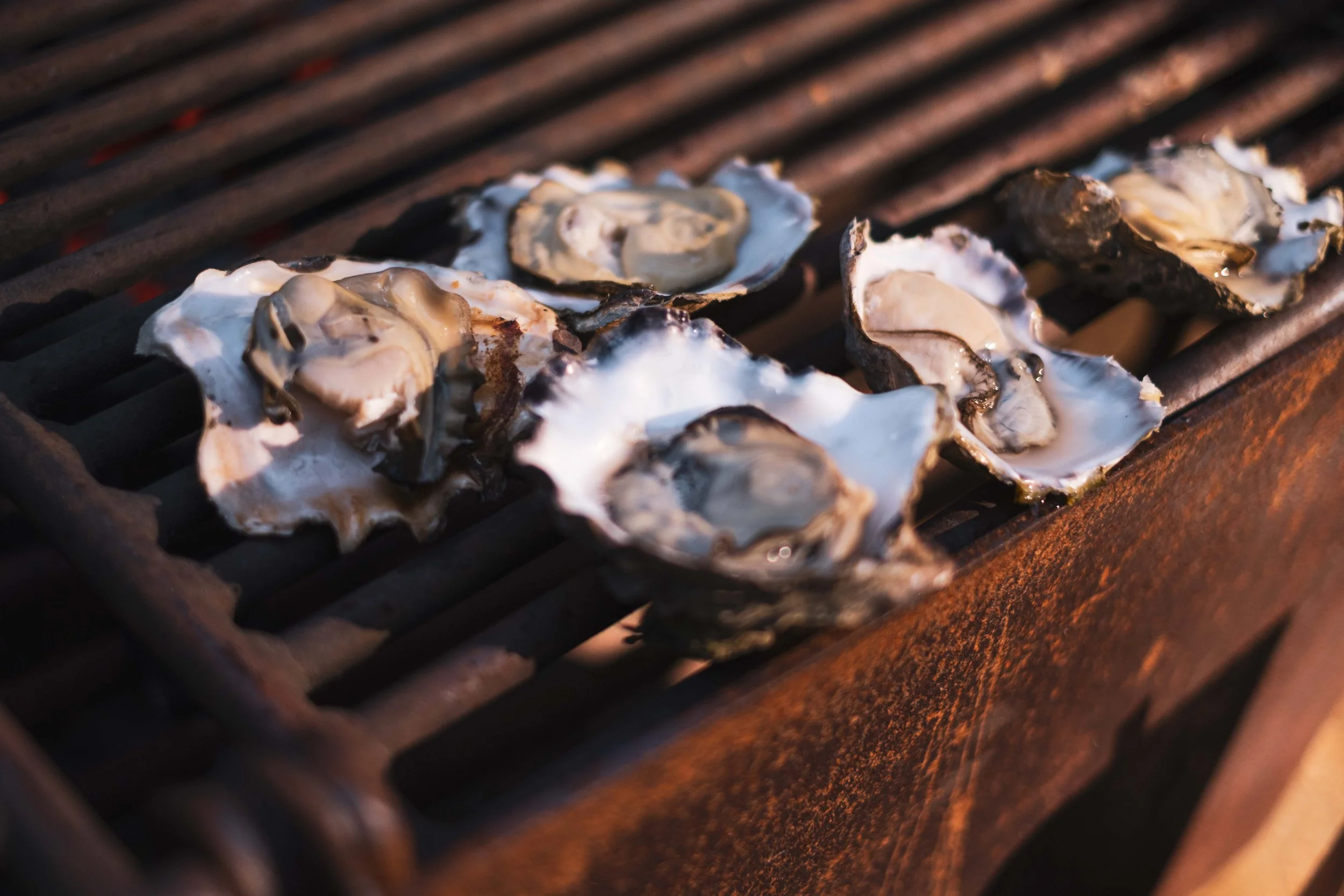 Seafood Poisoning at Sea: What PNW and Alaska Sailors Need to Know ...