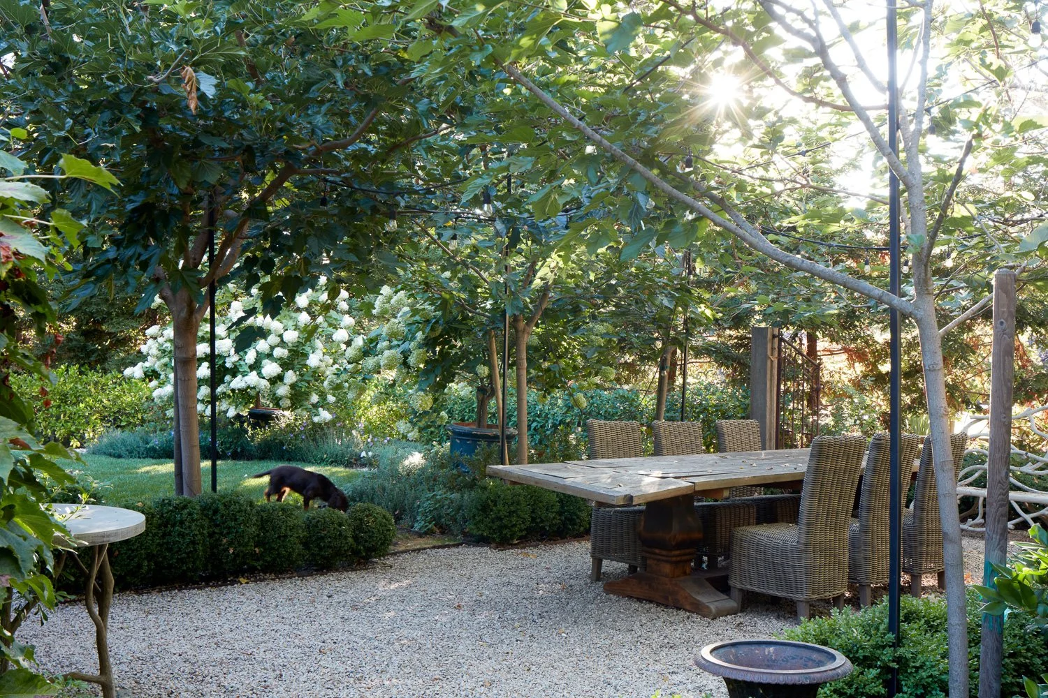Monte Sereno_Rose Ave_WEB-49.jpg