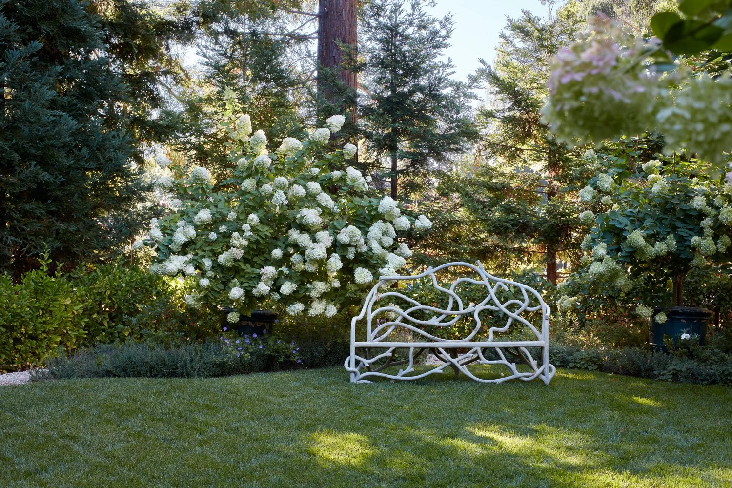 Monte Sereno_Rose Ave_WEB-51.jpg