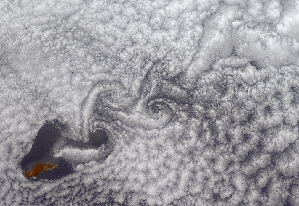 Explore the Beautiful Fluid Dynamics of Nature | Resolved Analytics