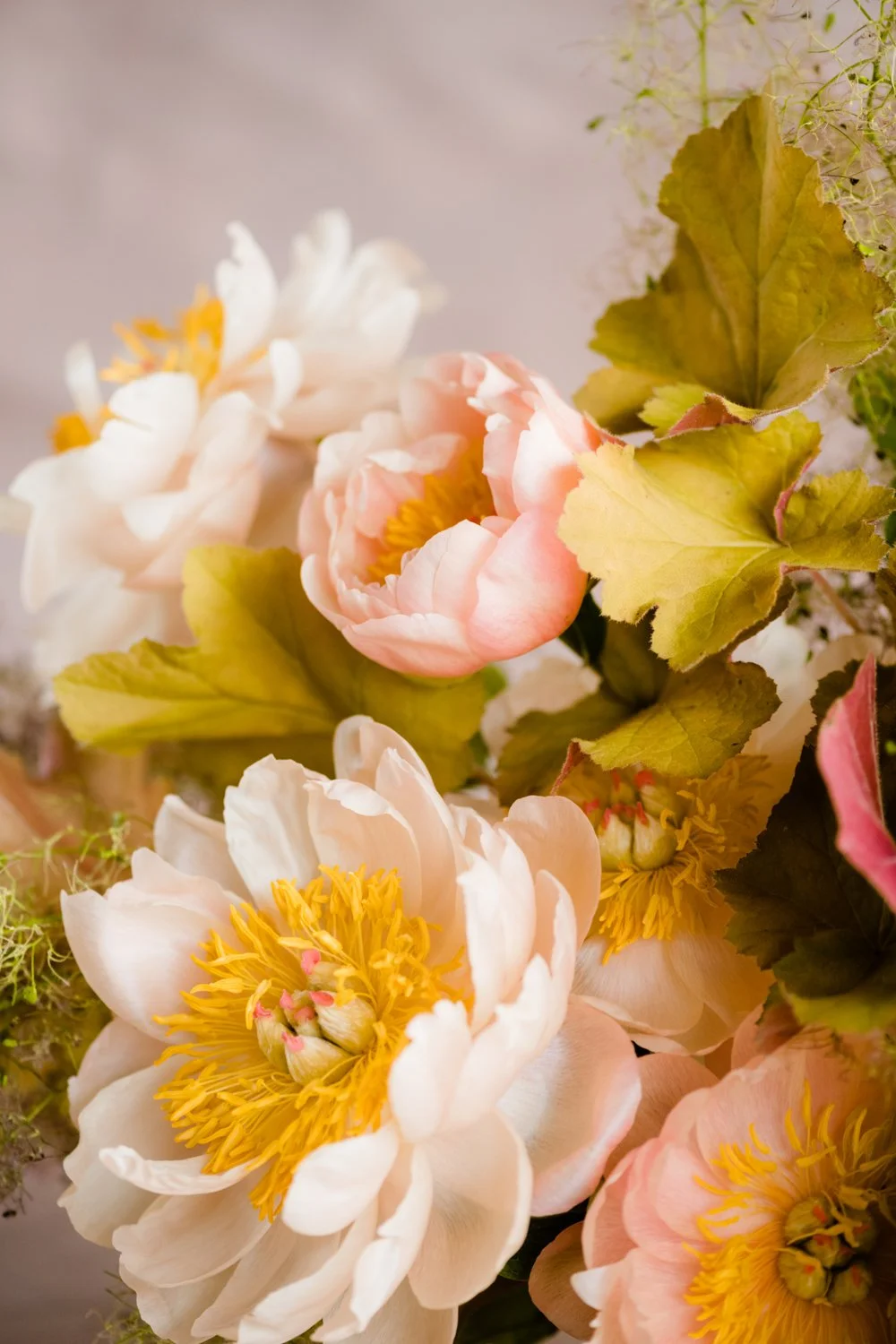 still-life-photographer-nashville-25.jpg