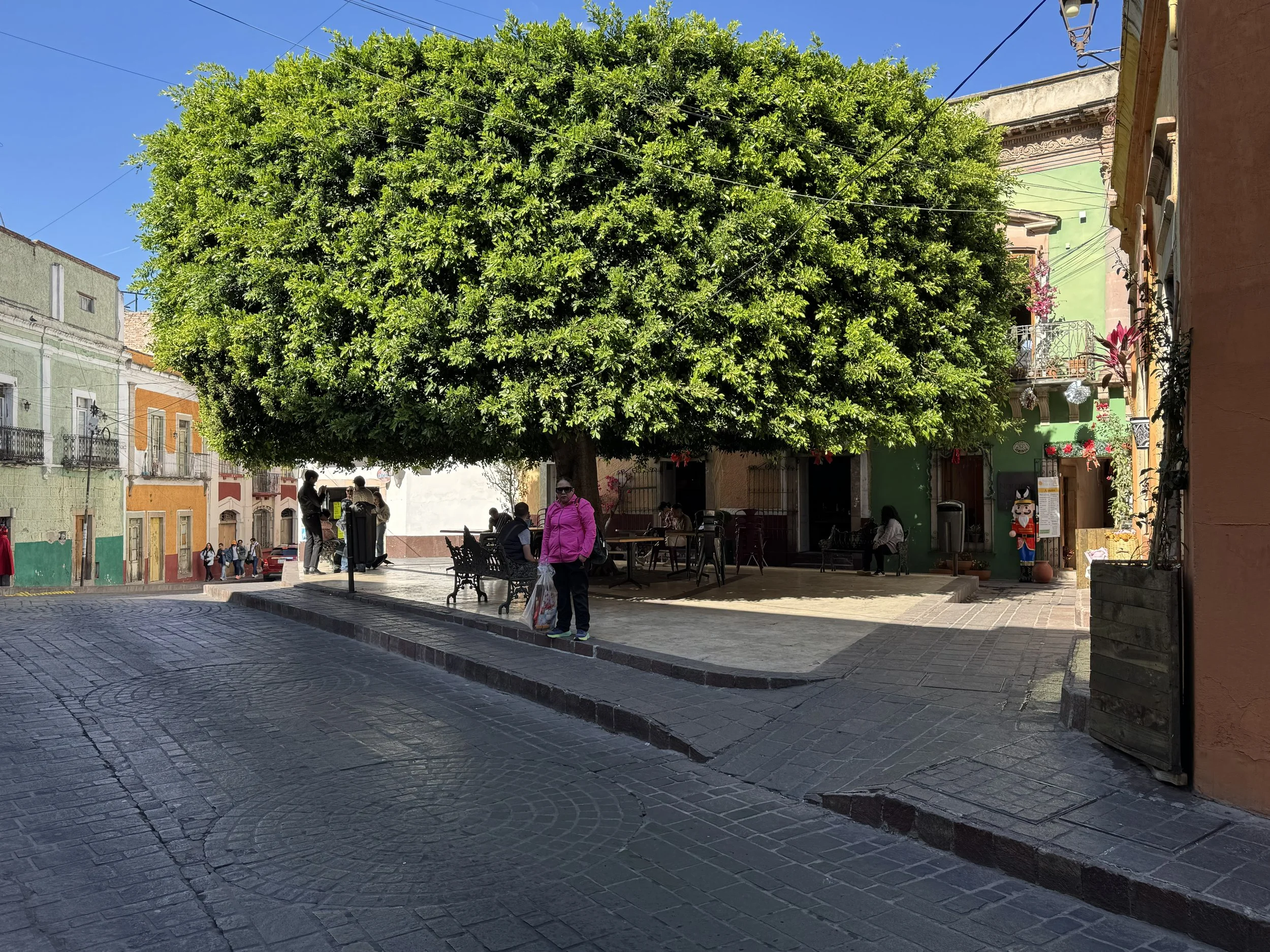 guanajuato_final074.jpg
